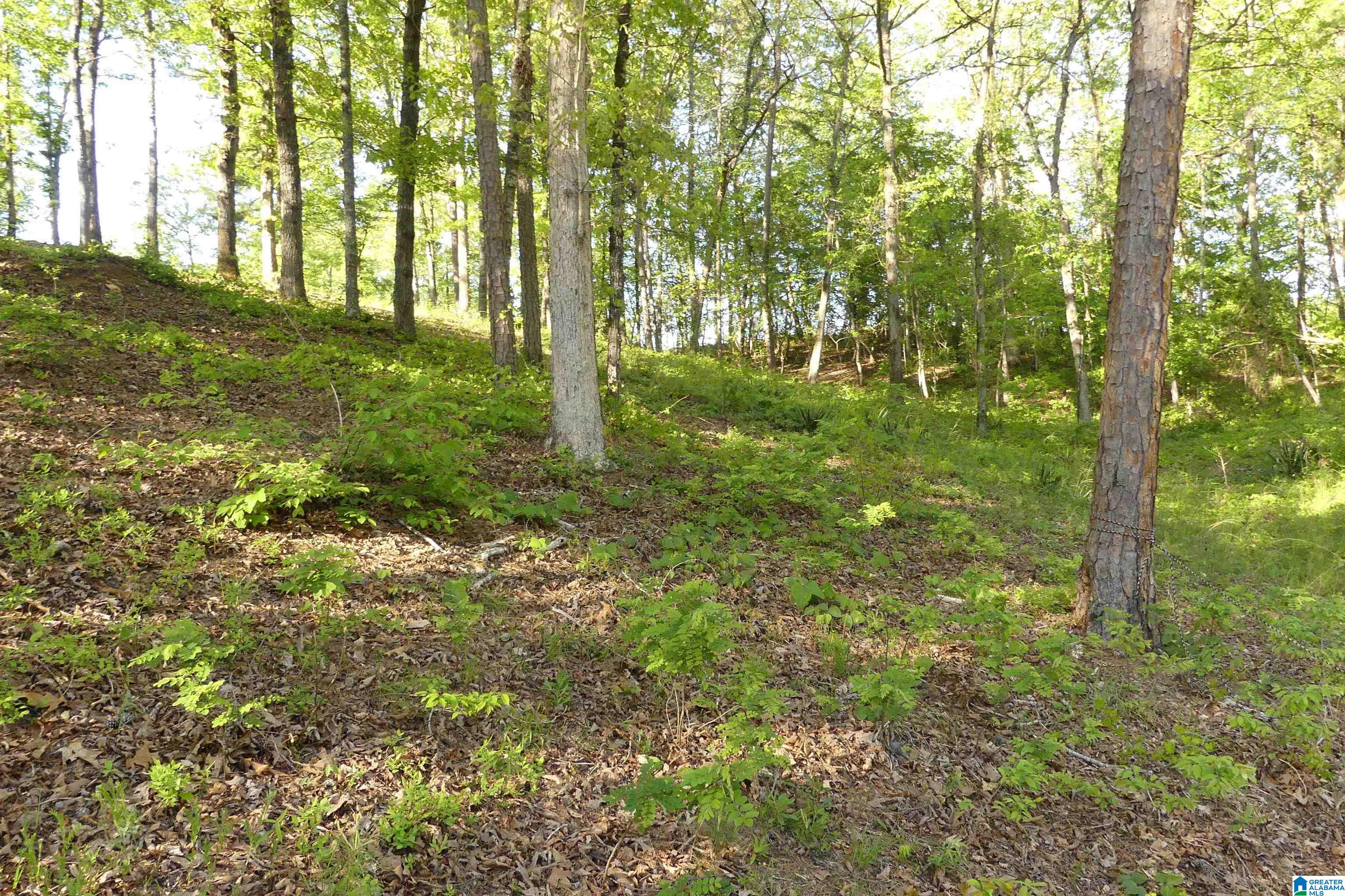Lot 5 Daisy Drive Property Photo 13