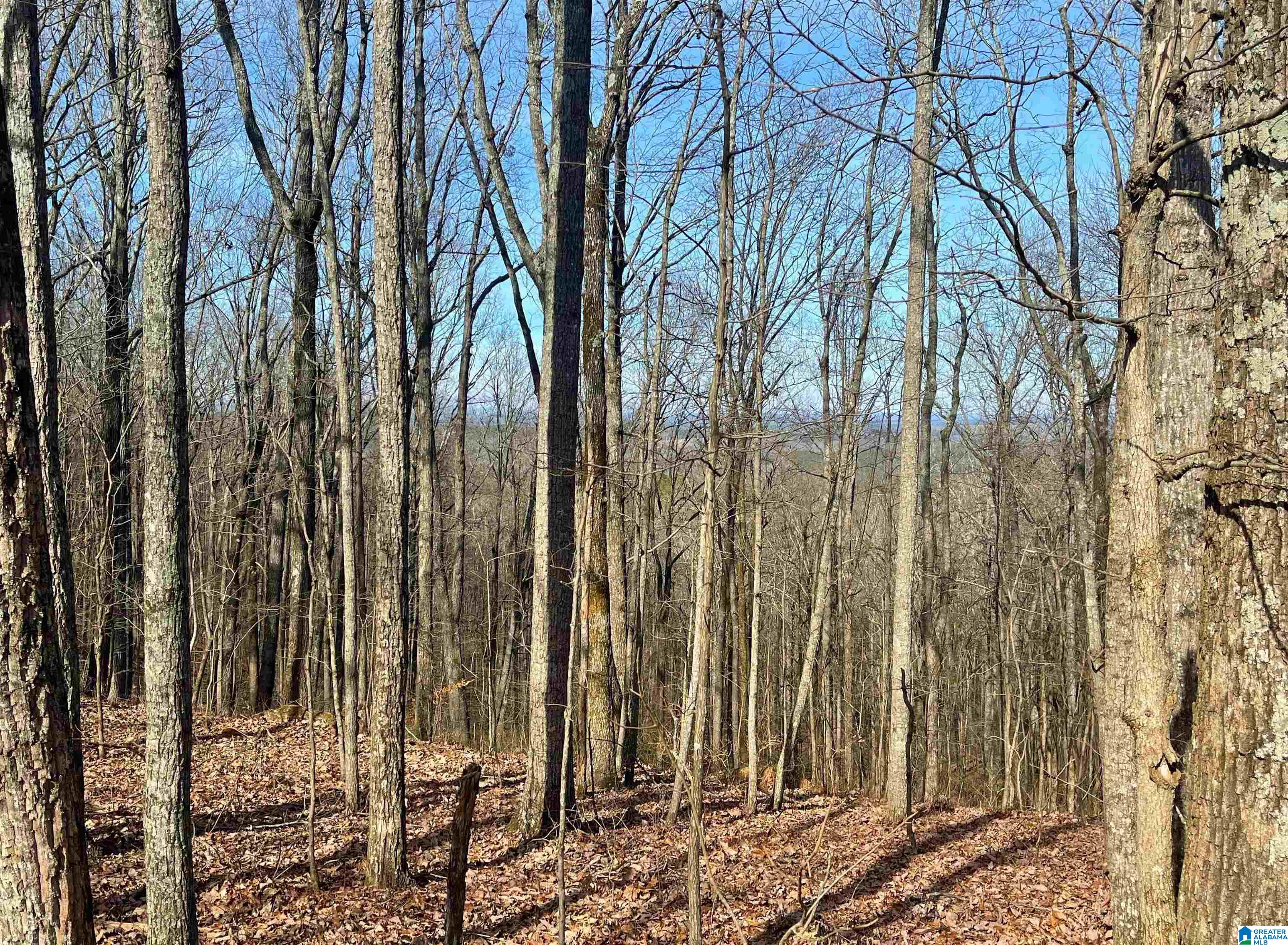 0 County Road 852 Property Photo 1
