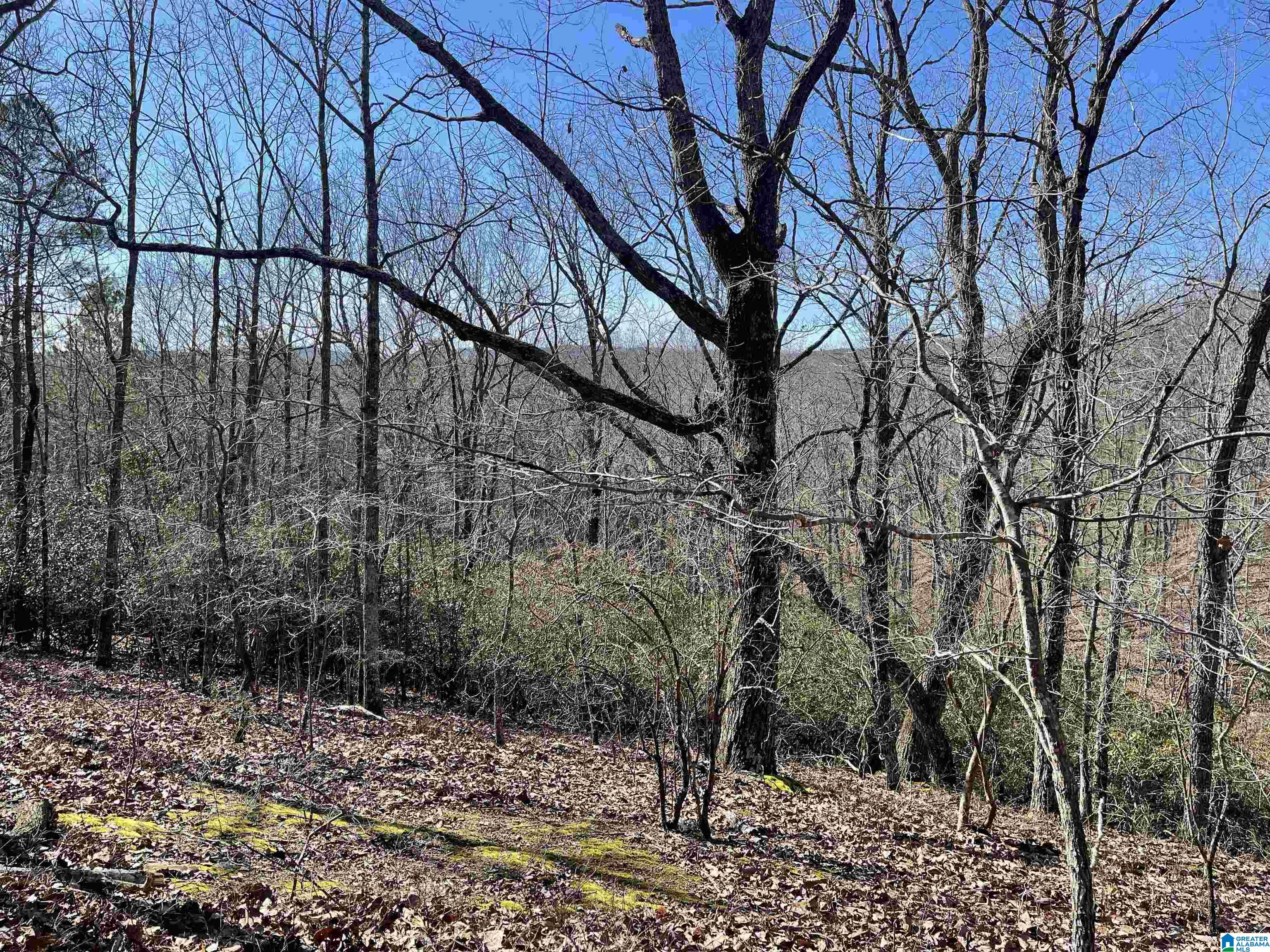 0 County Road 852 Property Photo 1
