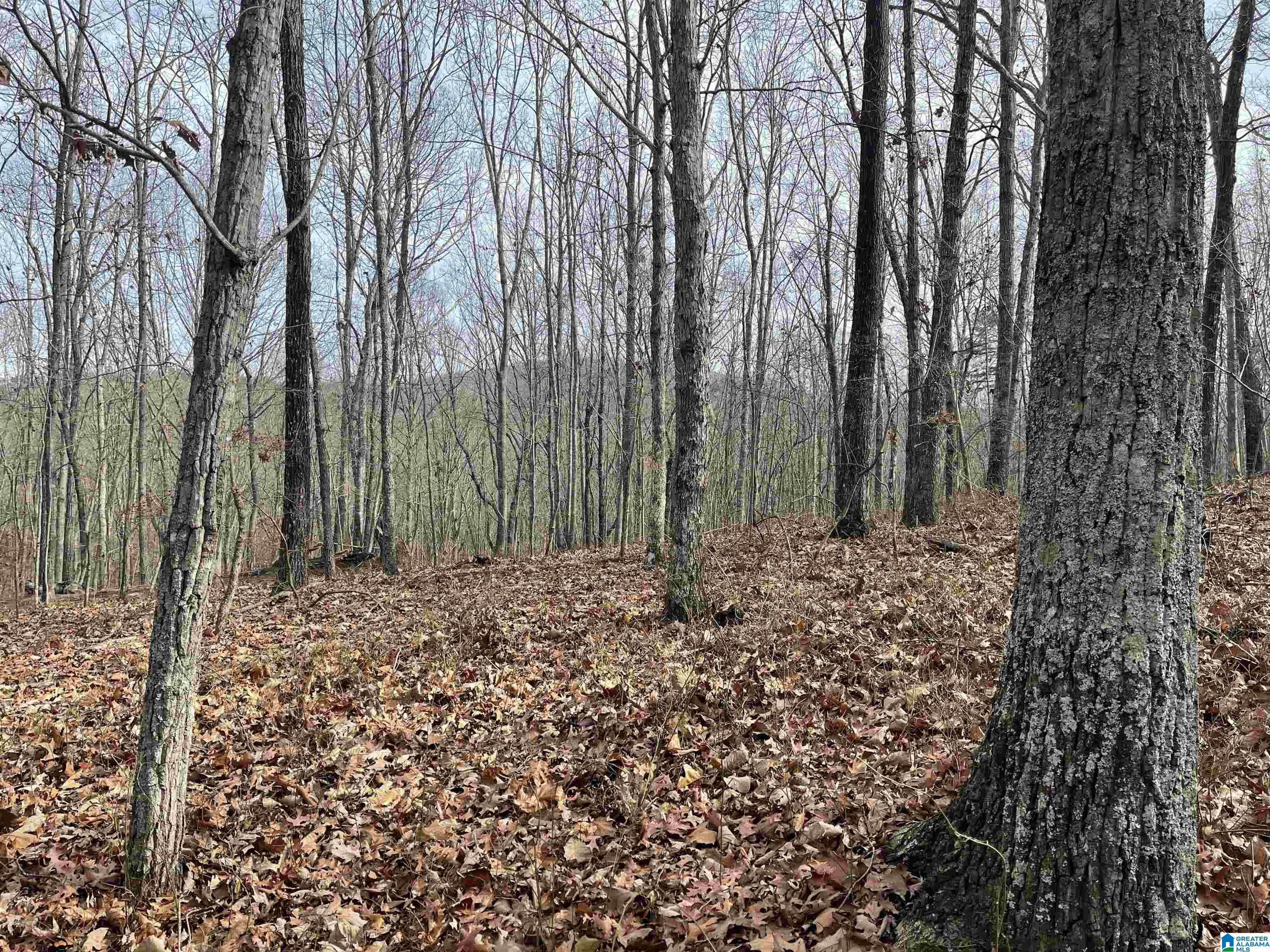 0 County Road 852 Property Photo 1