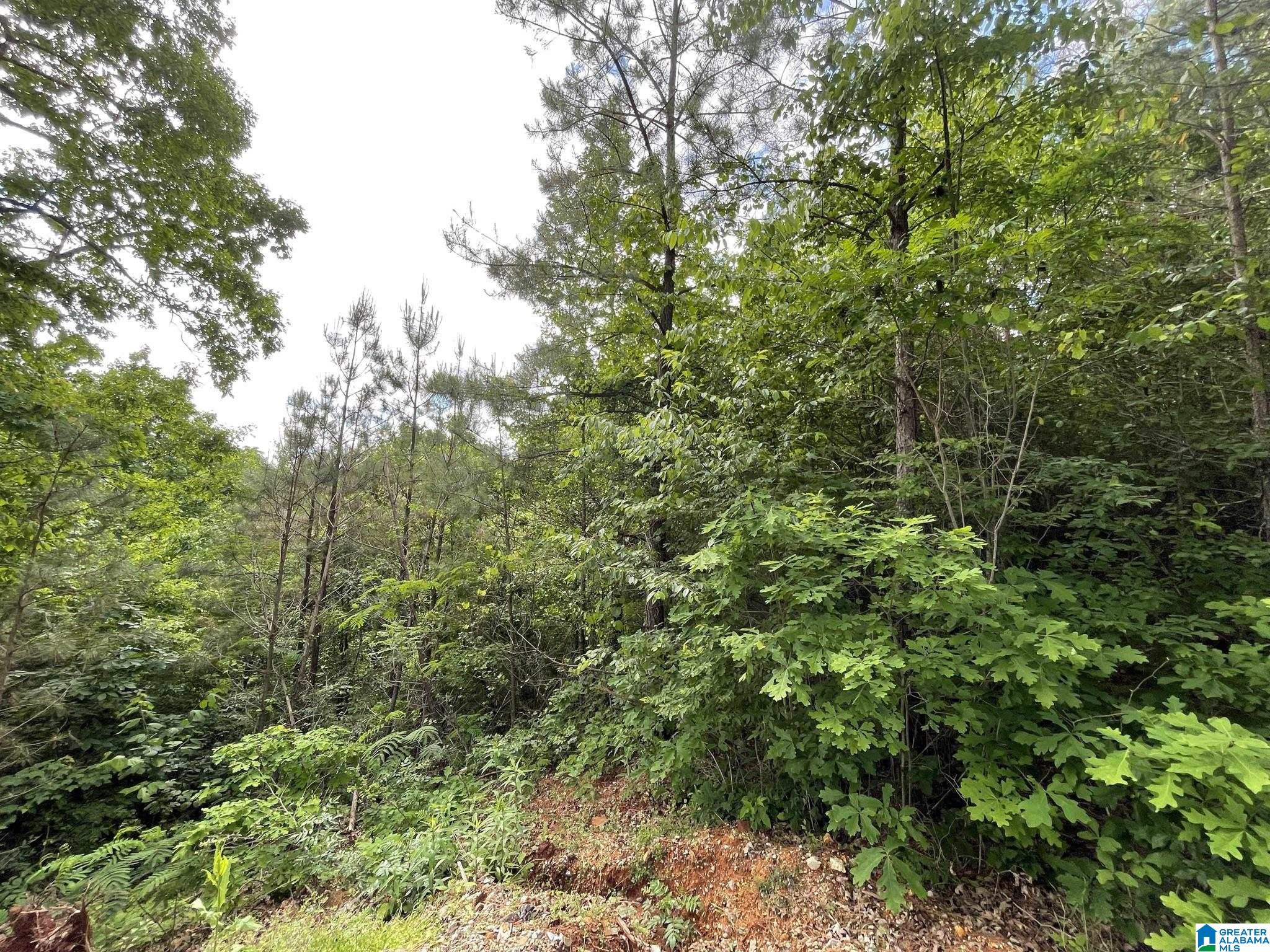 6434 Cambridge Road Property Photo 5