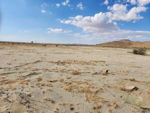 174 El Mirage Road Property Photo 3