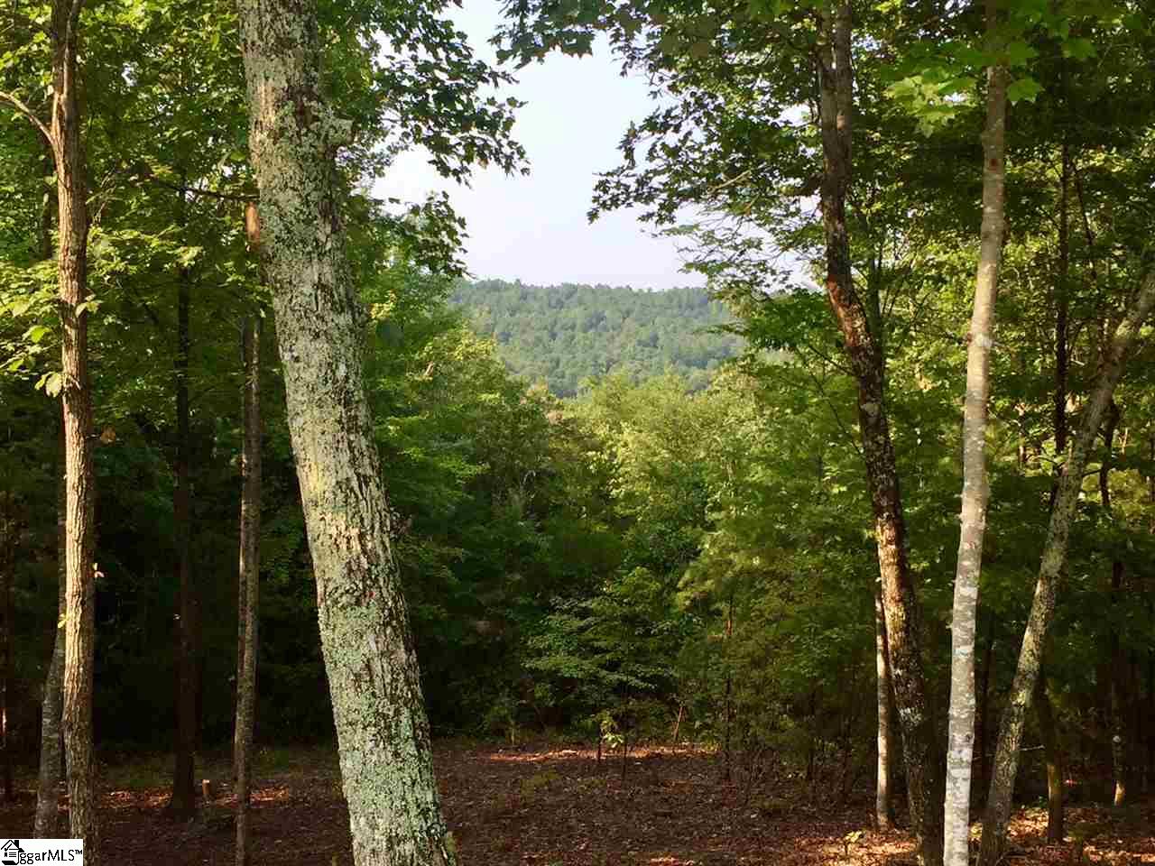 203 Blue Spruce Trail Property Photo 1