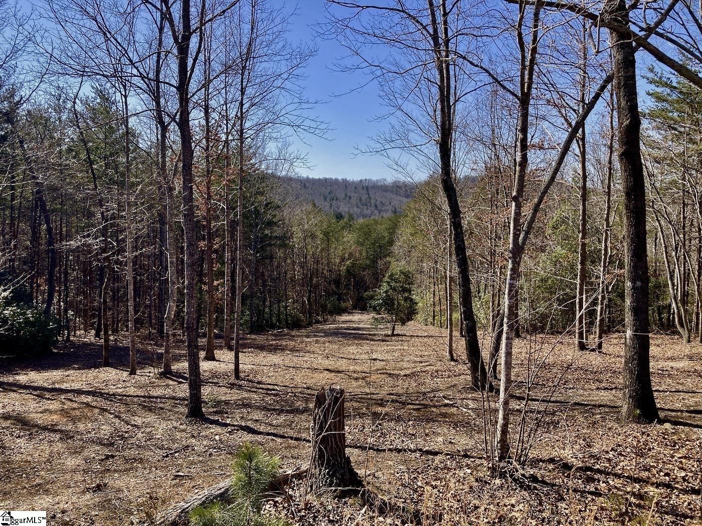 203 Blue Spruce Trail Property Photo 2