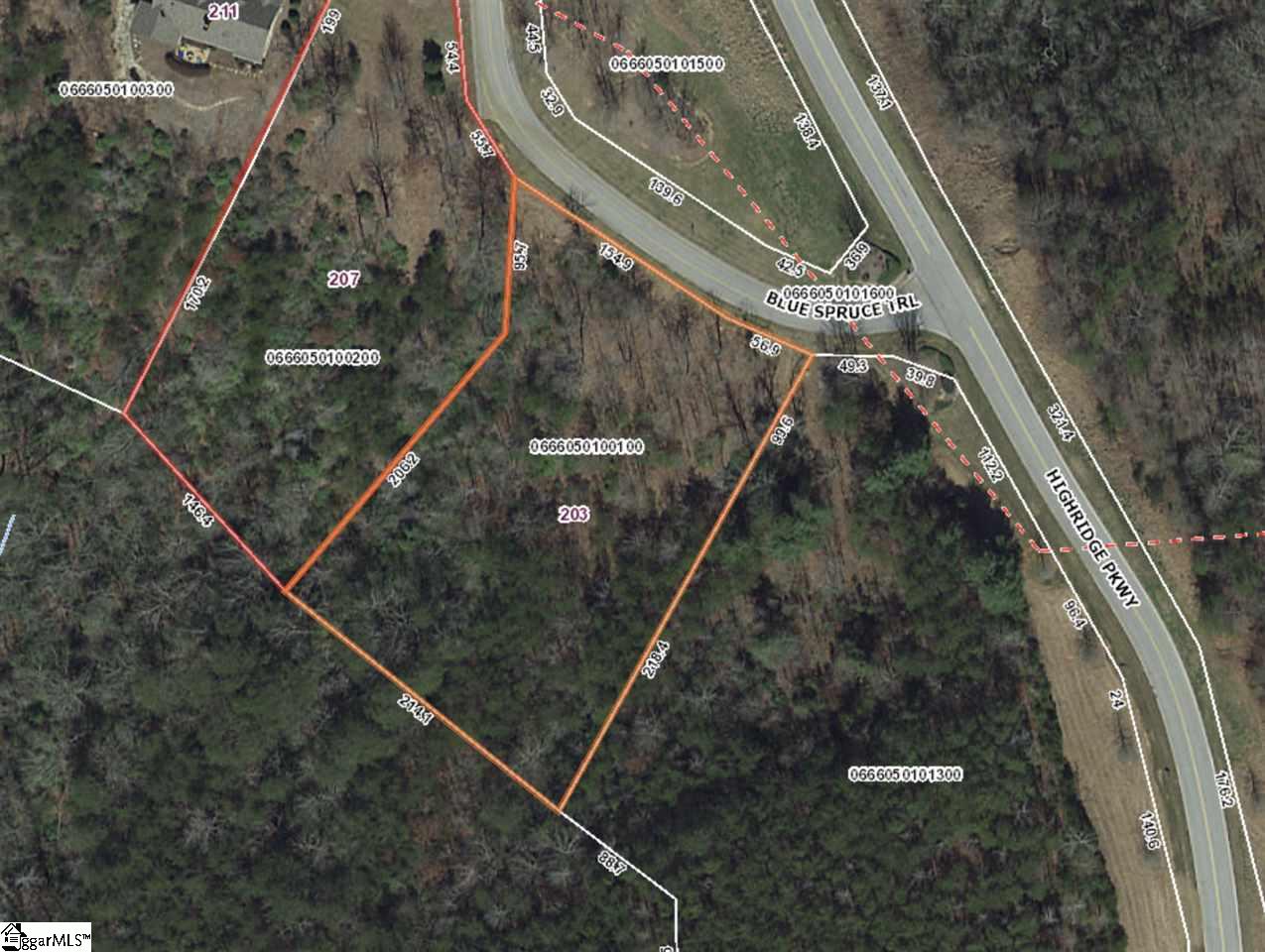 203 Blue Spruce Trail Property Photo 4