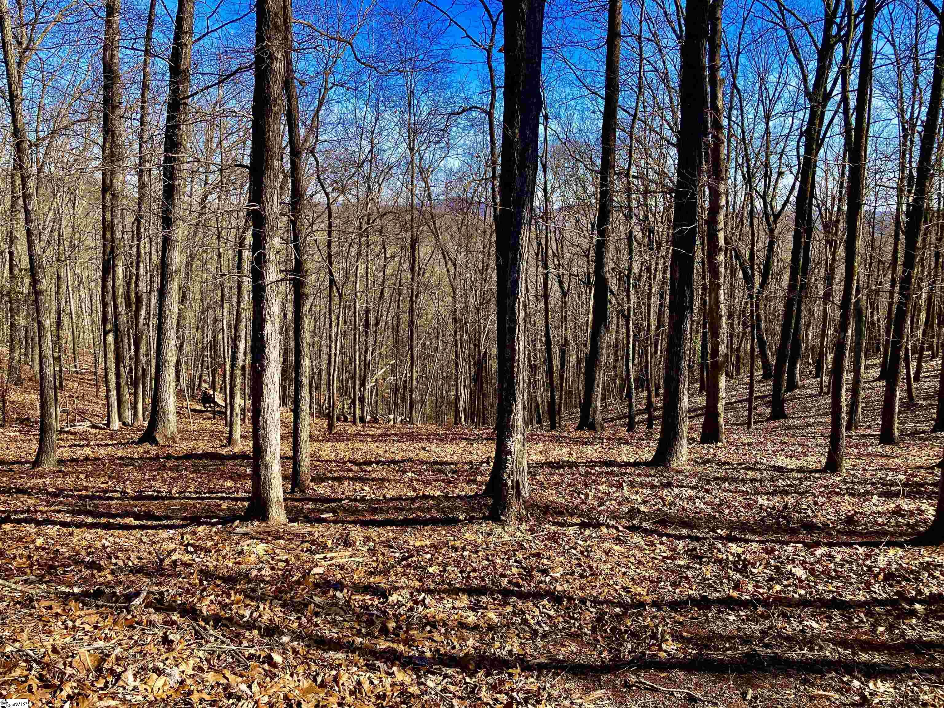 141 Cherokee Rose Trail Property Photo