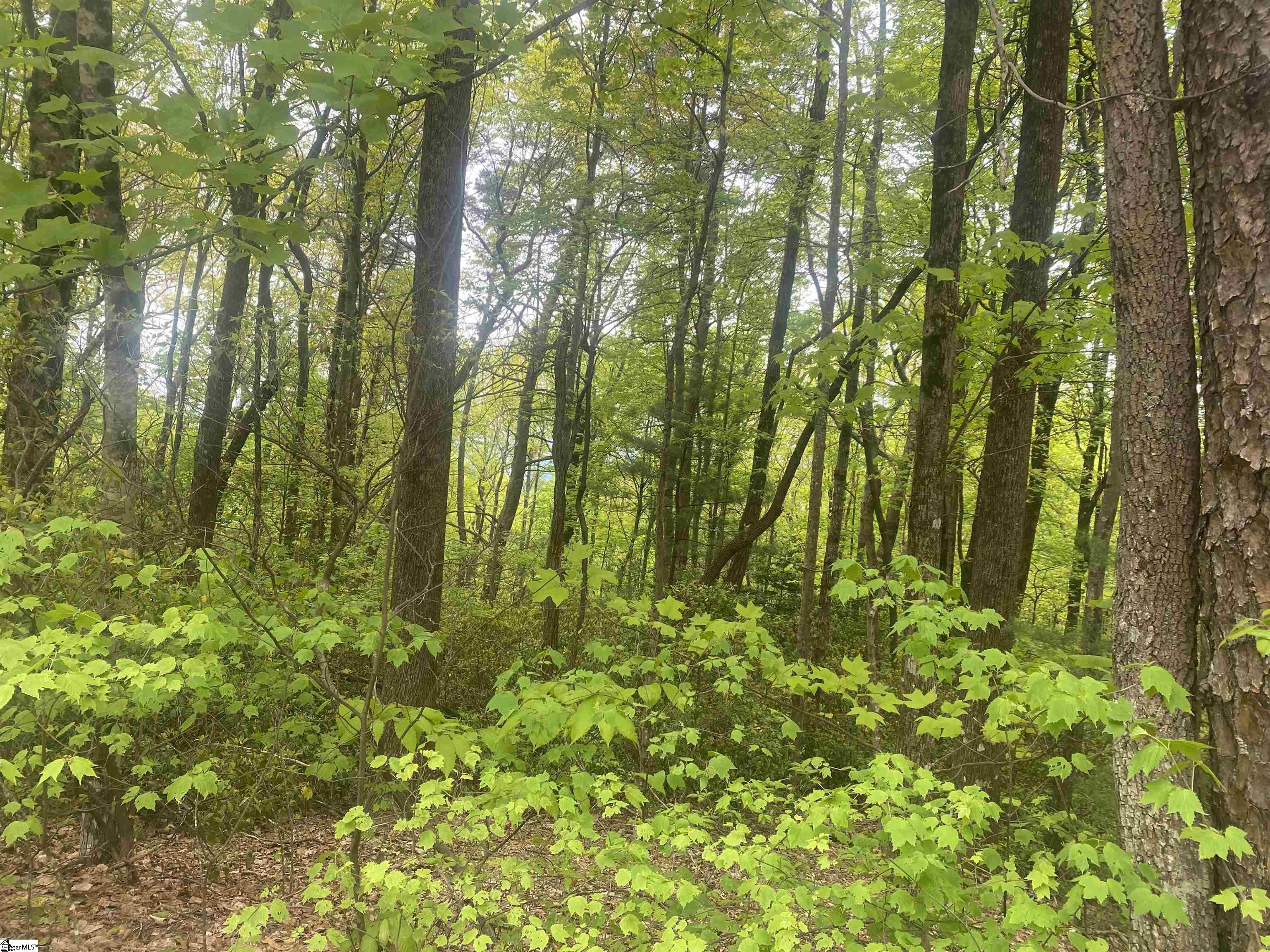 312 Cliff Ridge Drive Property Photo 18
