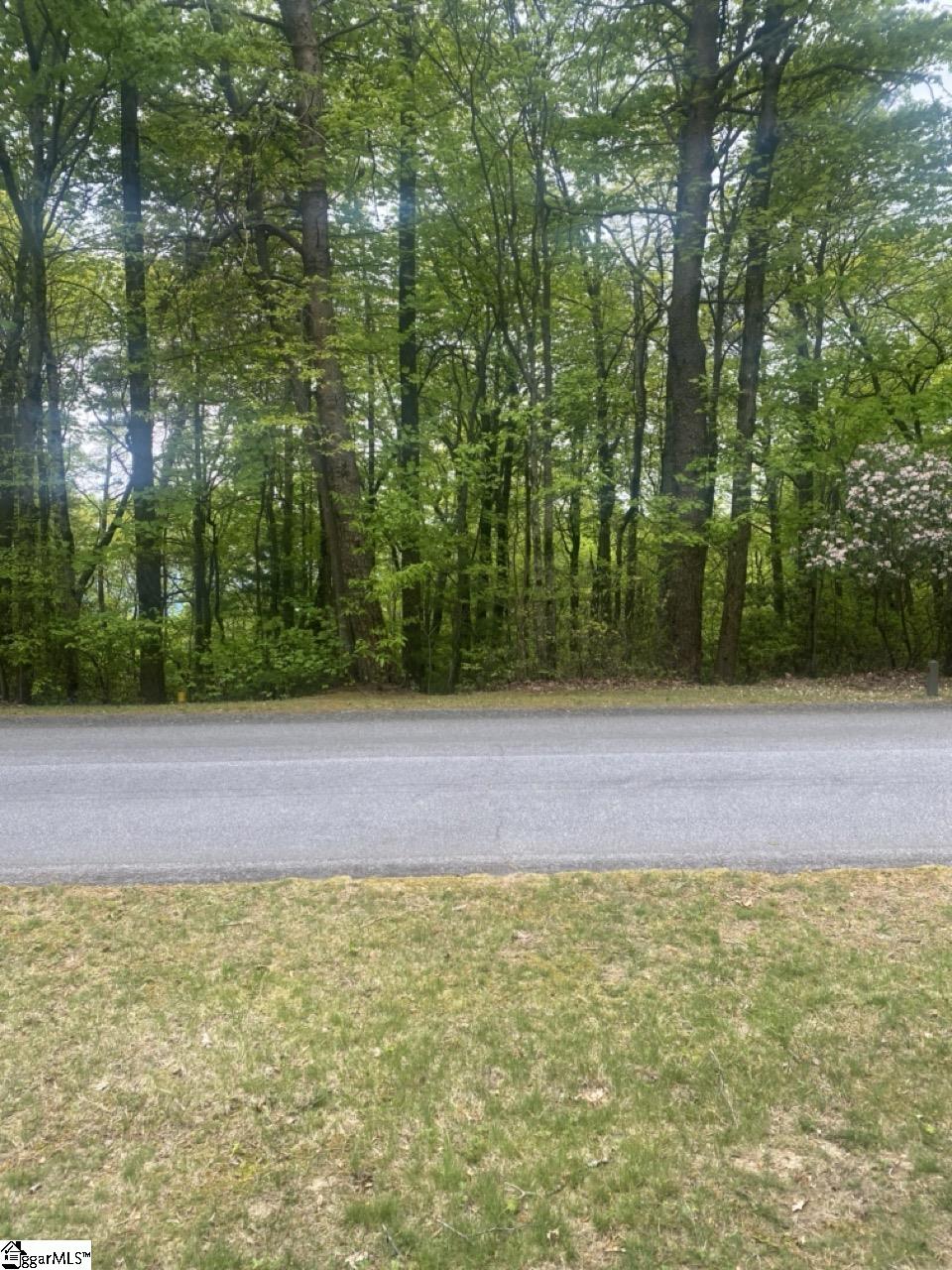 312 Cliff Ridge Drive Property Photo 19