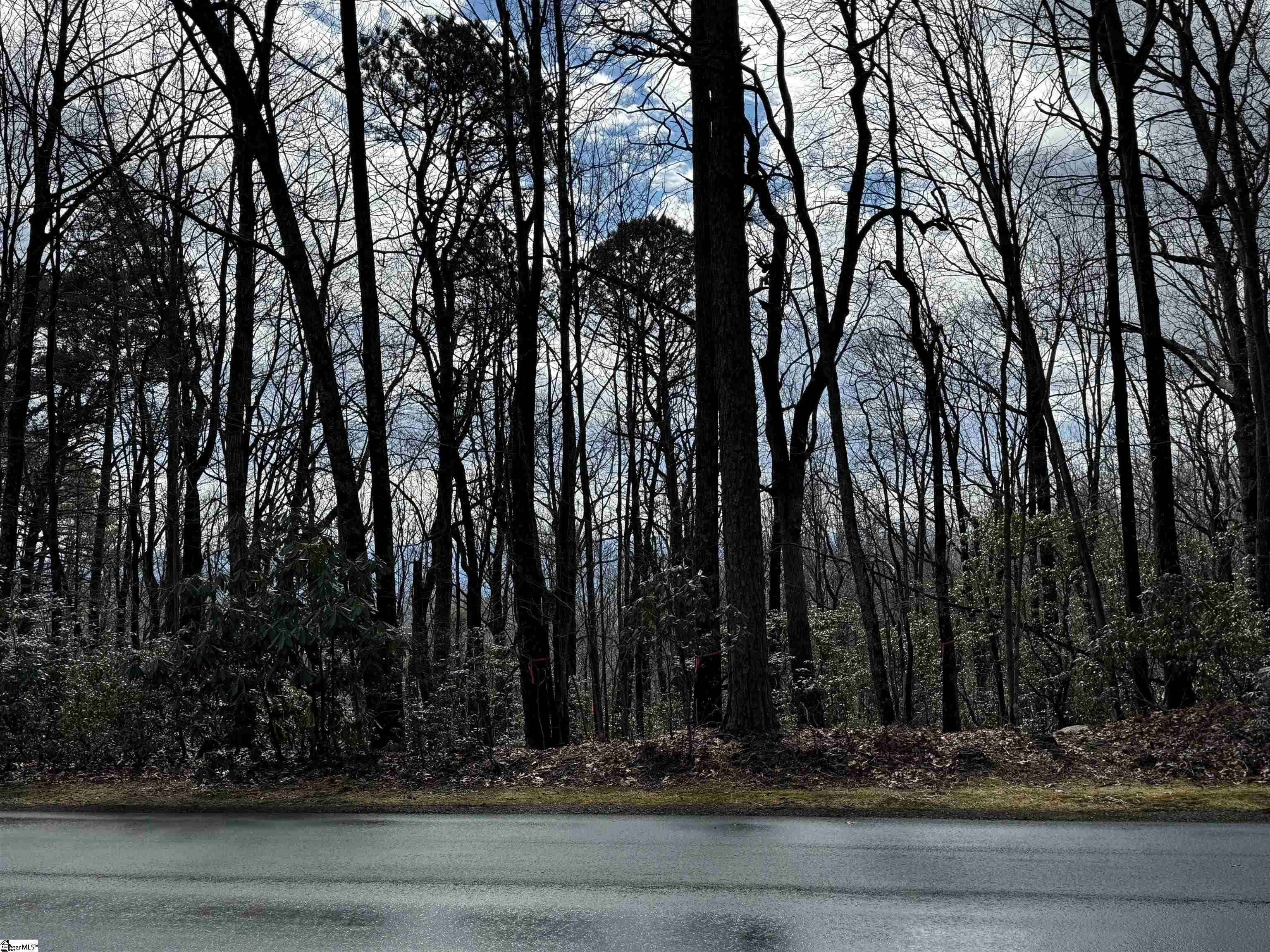 312 Cliff Ridge Drive Property Photo 20