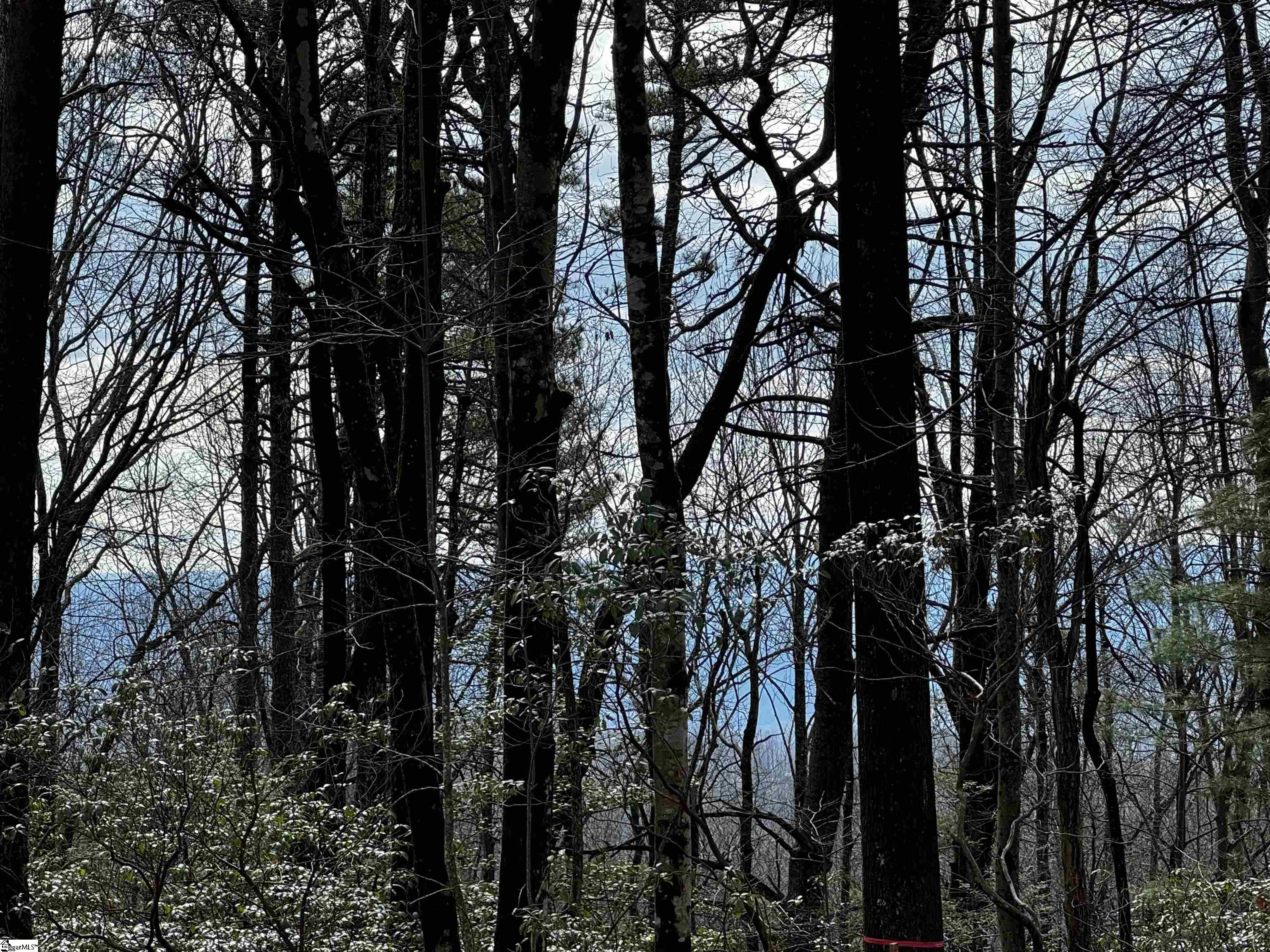 312 Cliff Ridge Drive Property Photo 23
