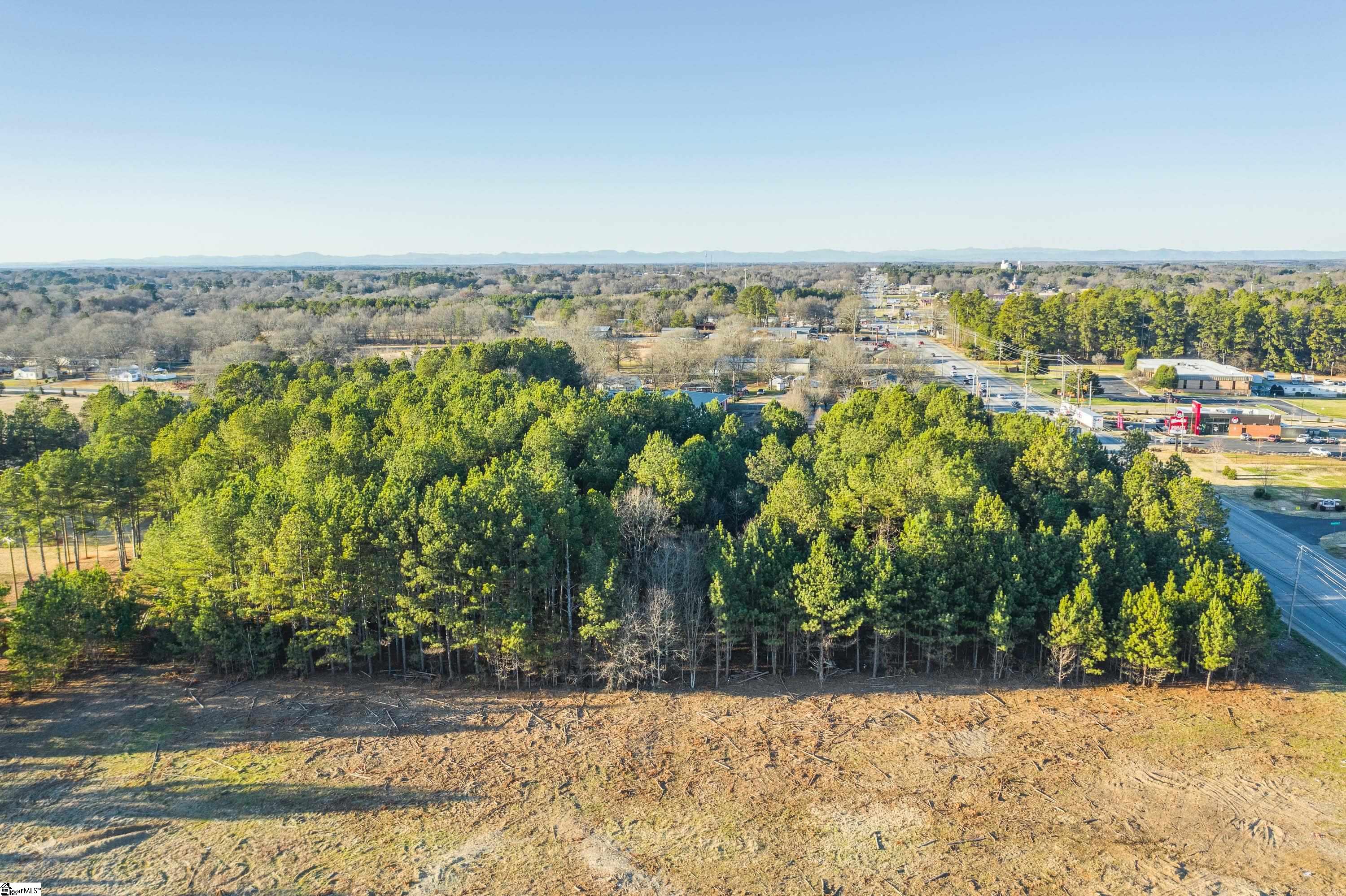 323 Tr B Pearman Dairy Road Property Photo 6