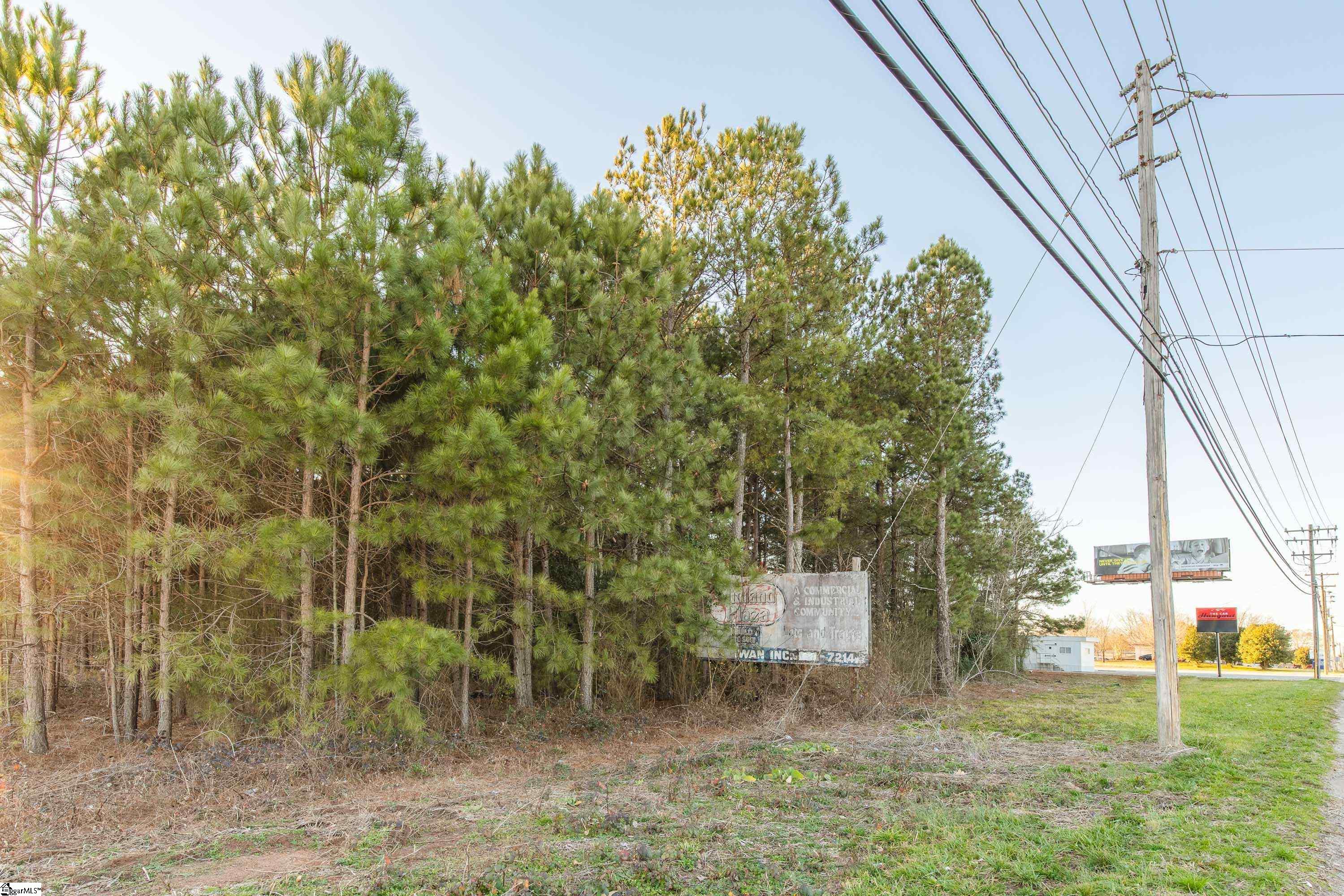 323 Tr B Pearman Dairy Road Property Photo 8
