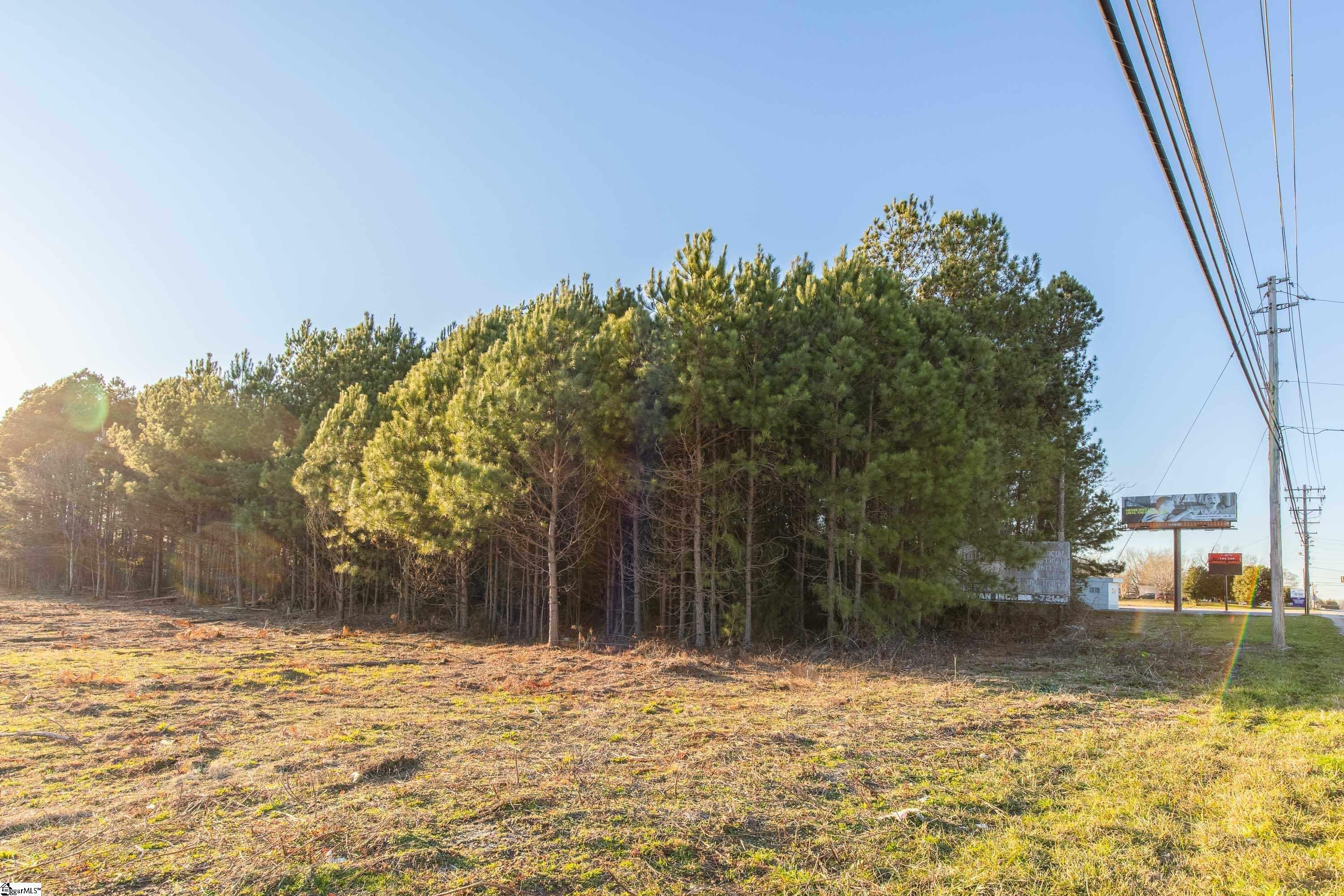 323 Tr B Pearman Dairy Road Property Photo 9