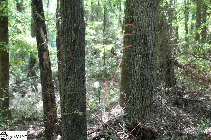 0 Sam Drive Property Photo 10