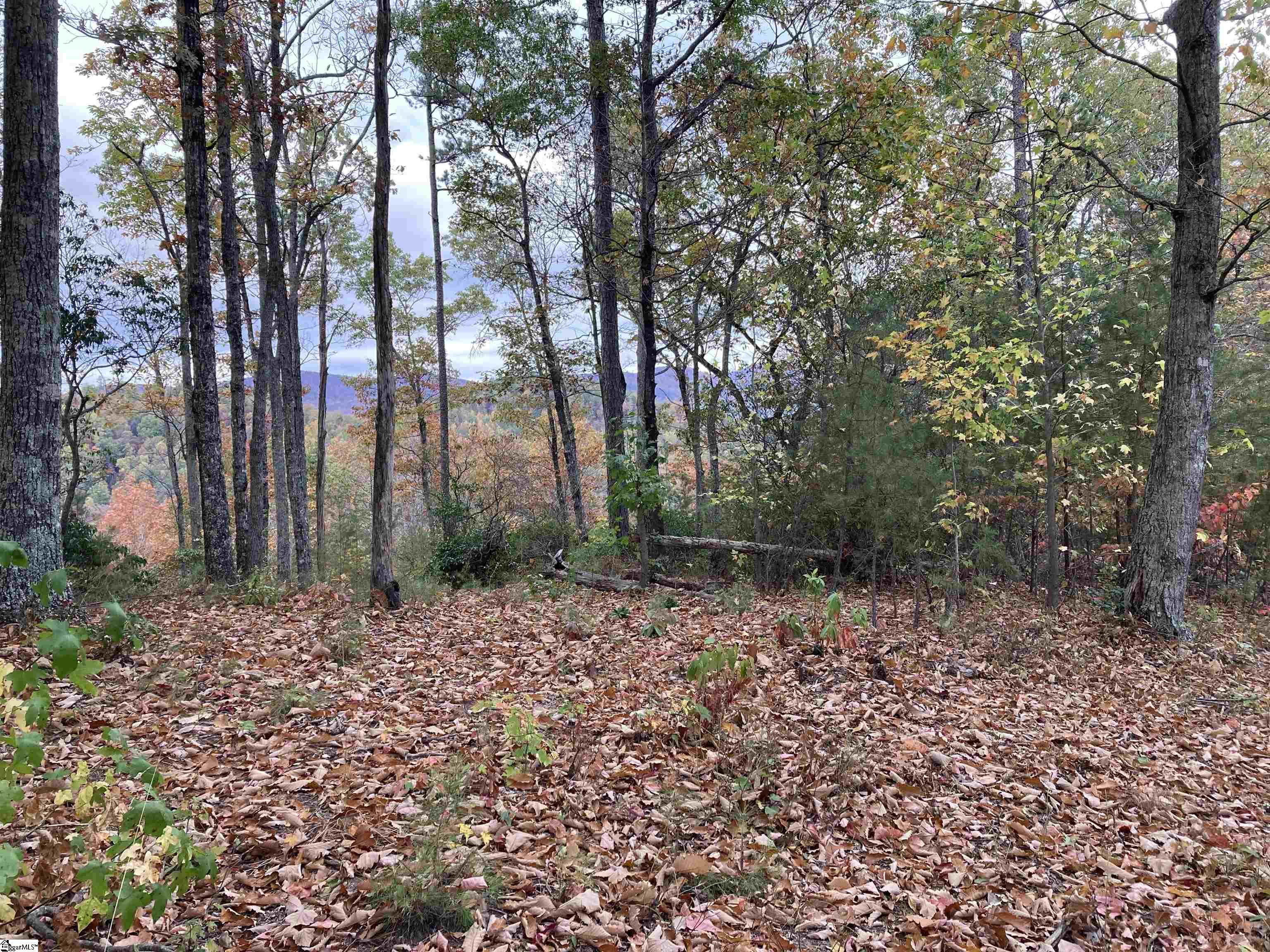 White Fox Trail Property Photo 1