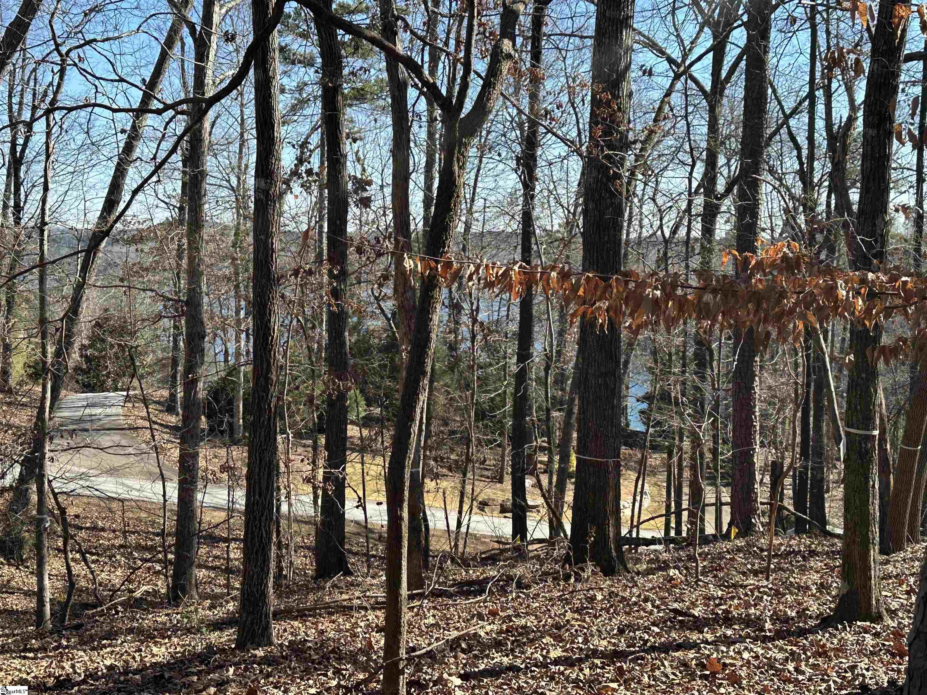 1516718 Property Photo