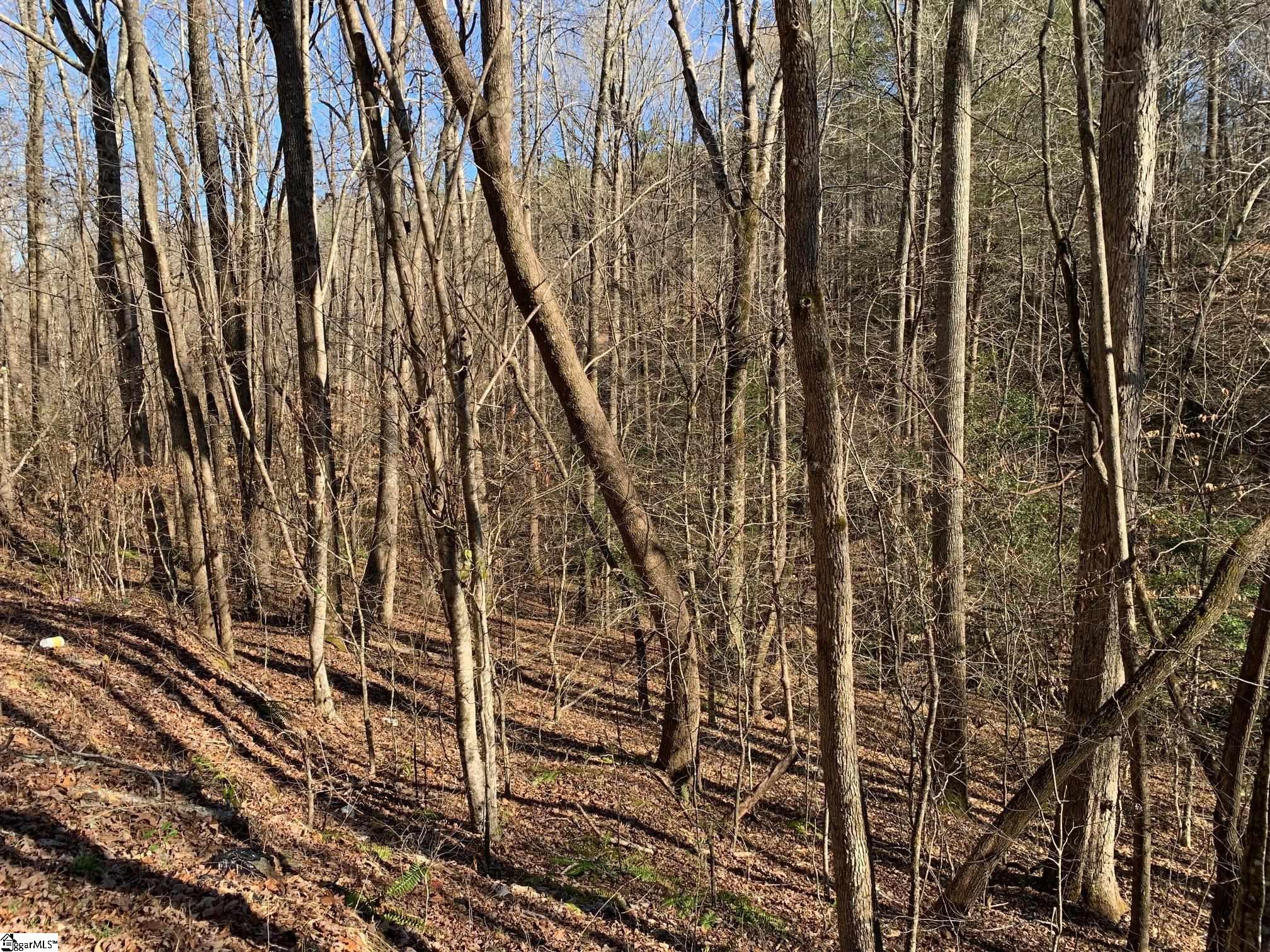 00 Saw Mill Road Property Photo
