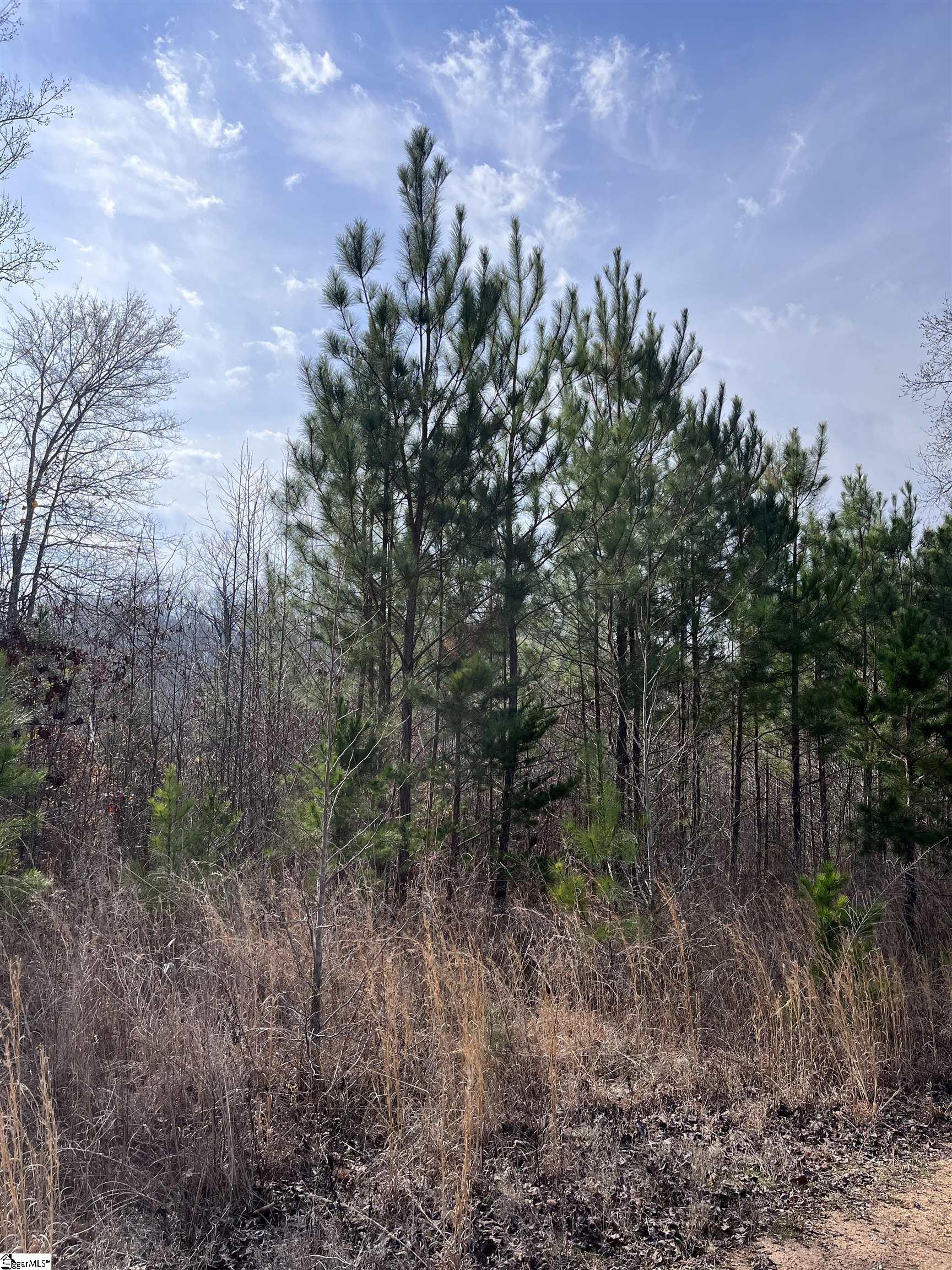 0 S Lakeview Drive Property Photo 2
