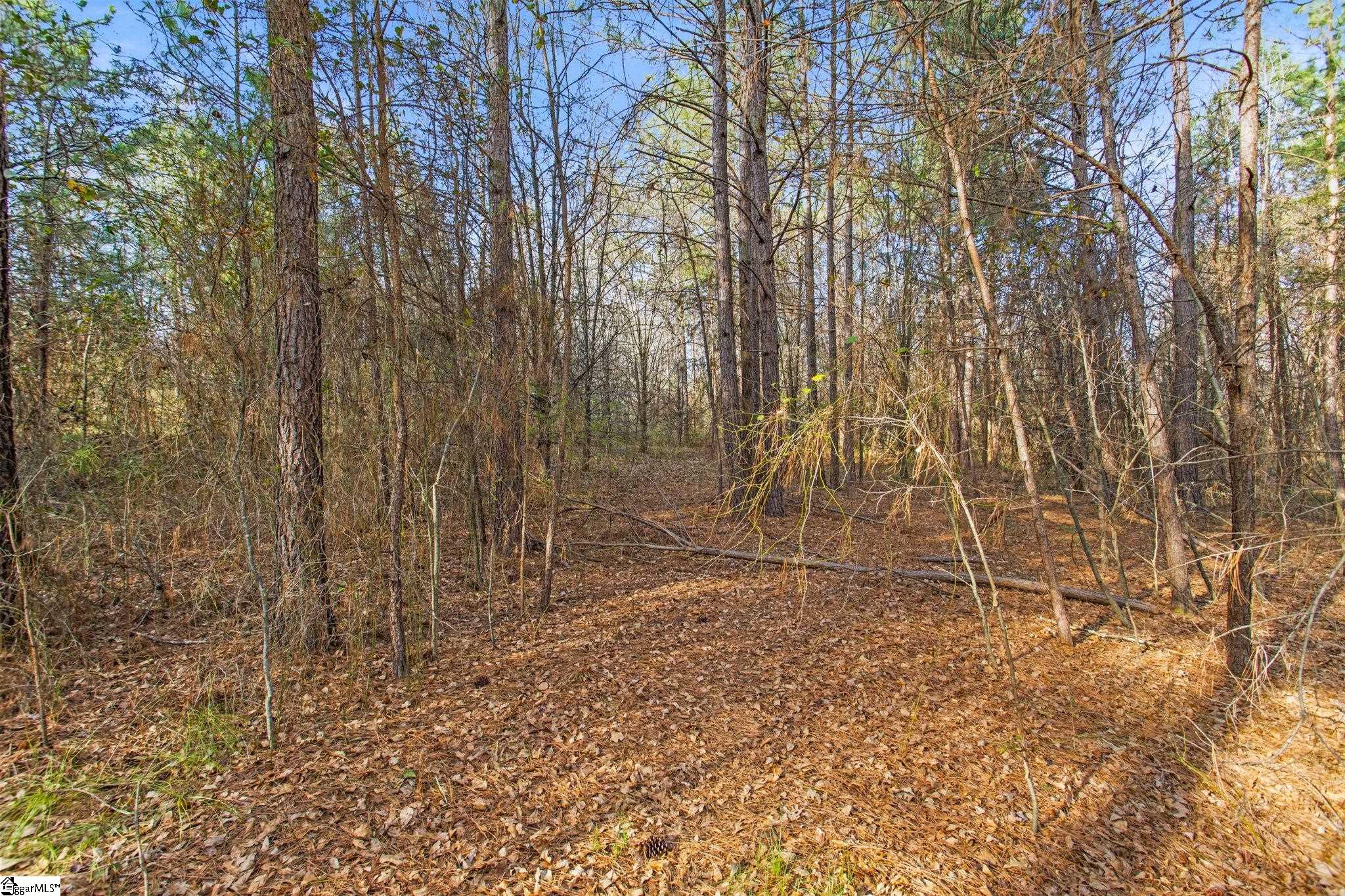 244 E Standing Springs Road Property Photo 6