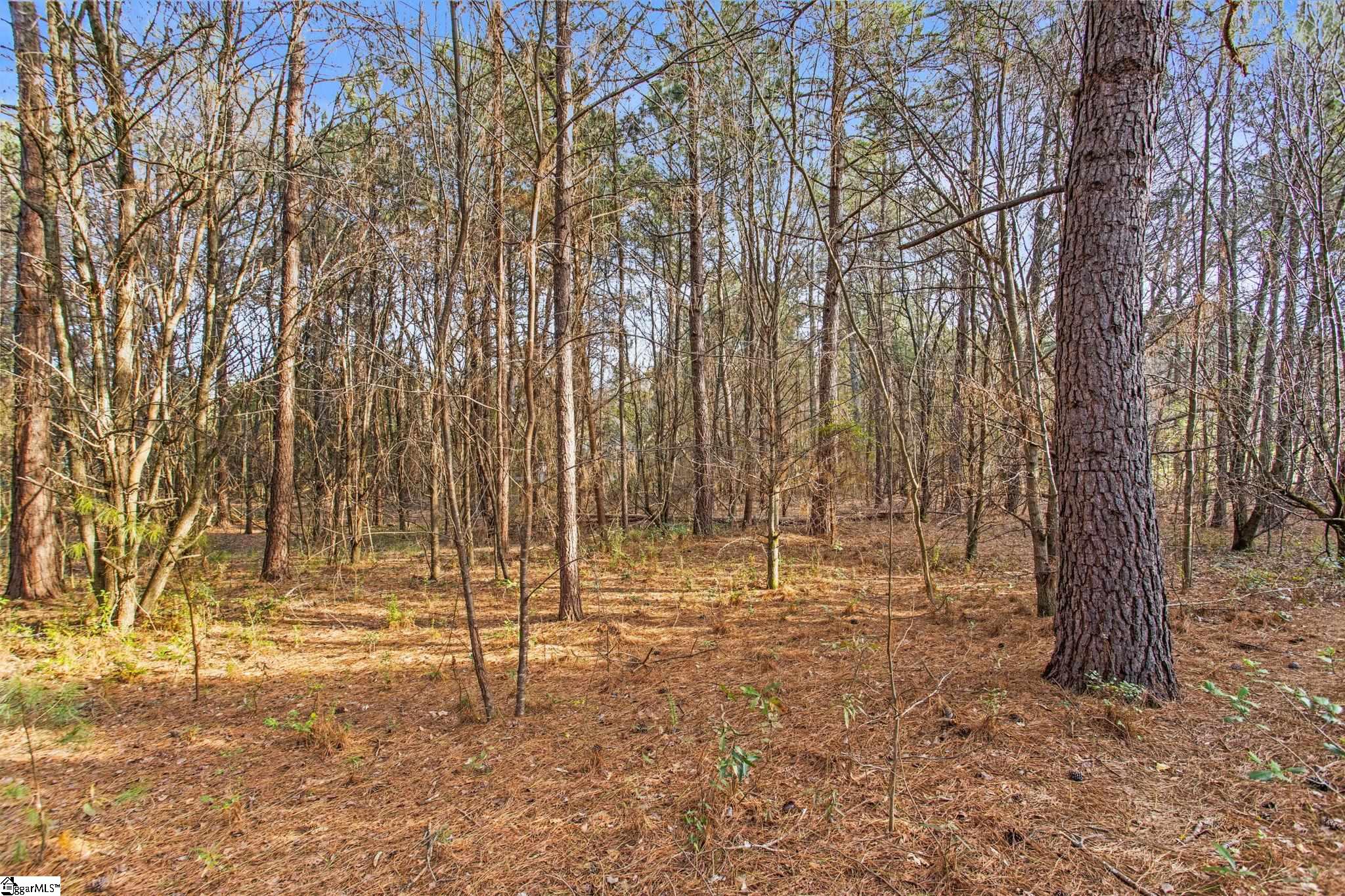 244 E Standing Springs Road Property Photo 7