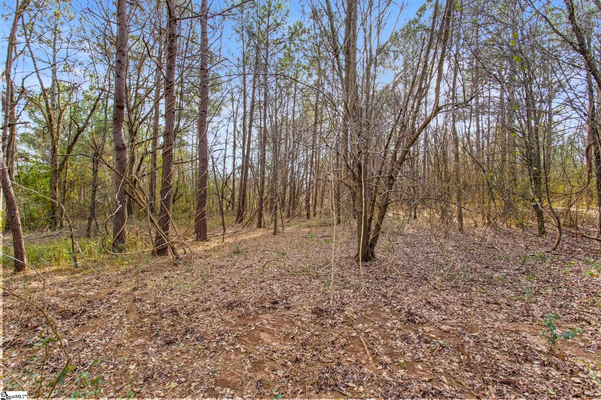 244 E Standing Springs Road Property Photo 8