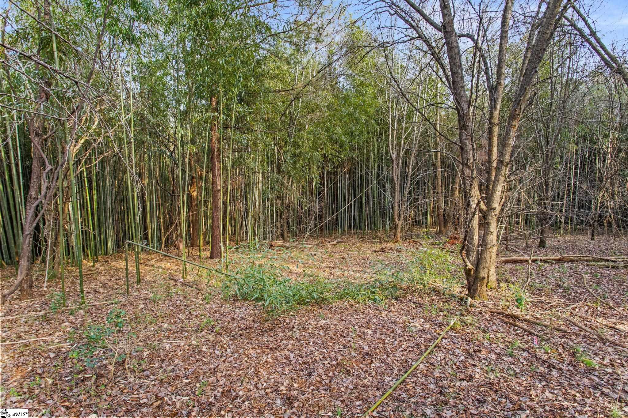 244 E Standing Springs Road Property Photo 9