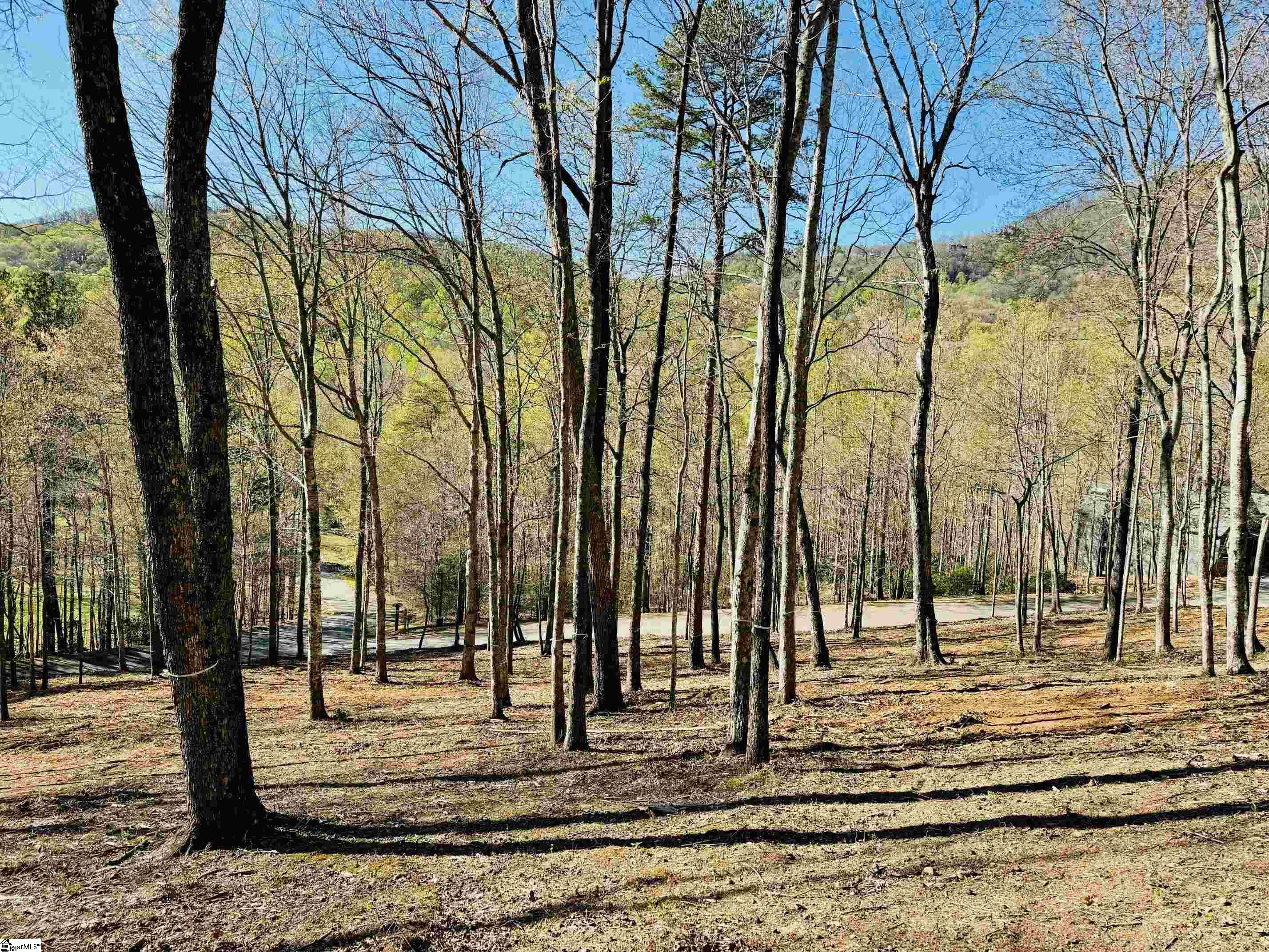 10 Buck Creek Trail Property Photo