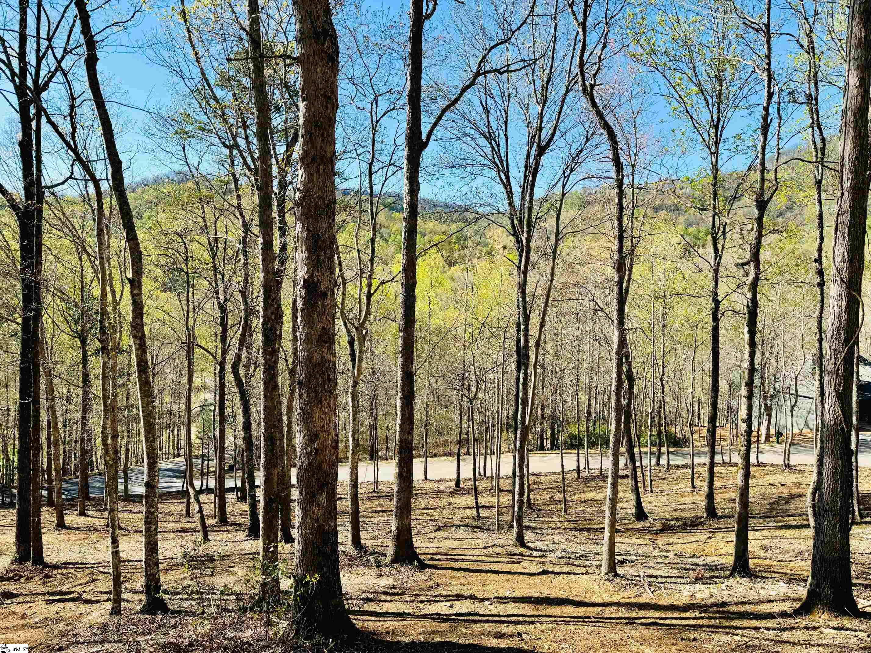 2 Buck Creek Trail Property Photo