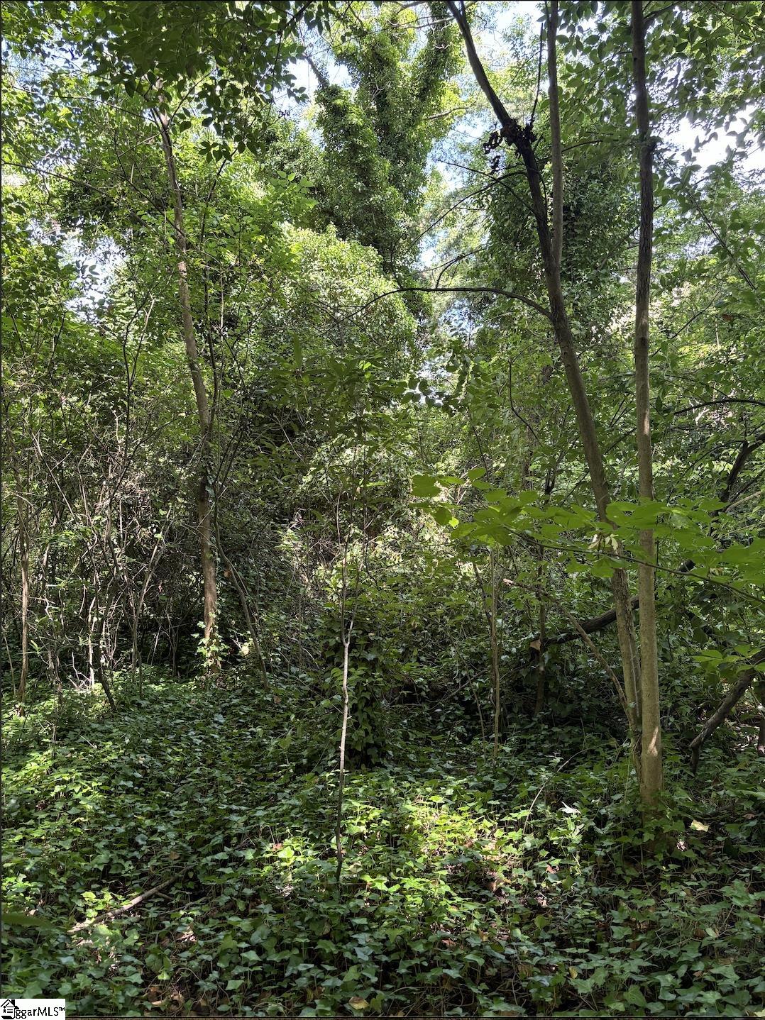 430 Tryon Street Property Photo 4
