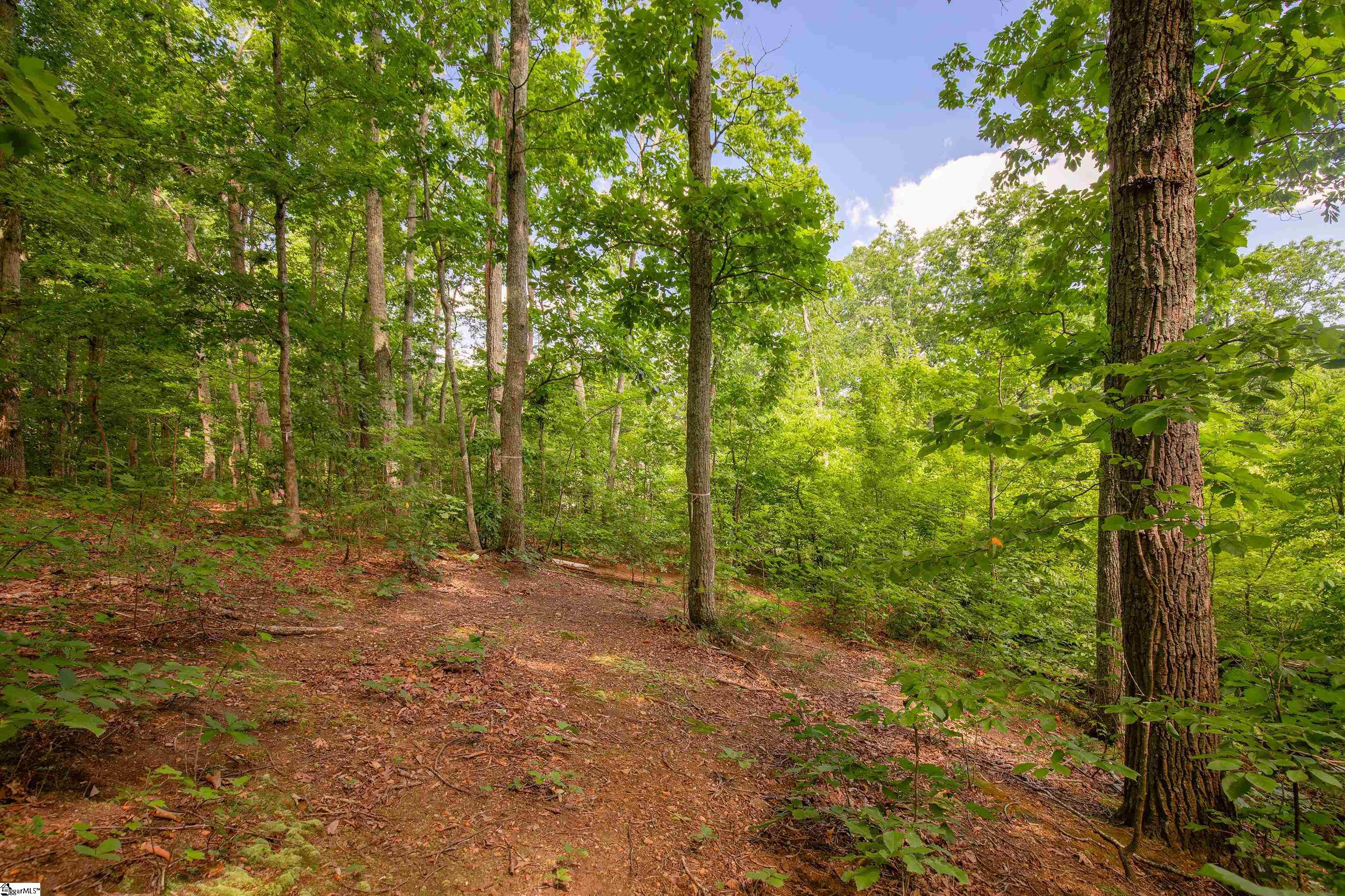 4 Napoli Court Property Photo 18