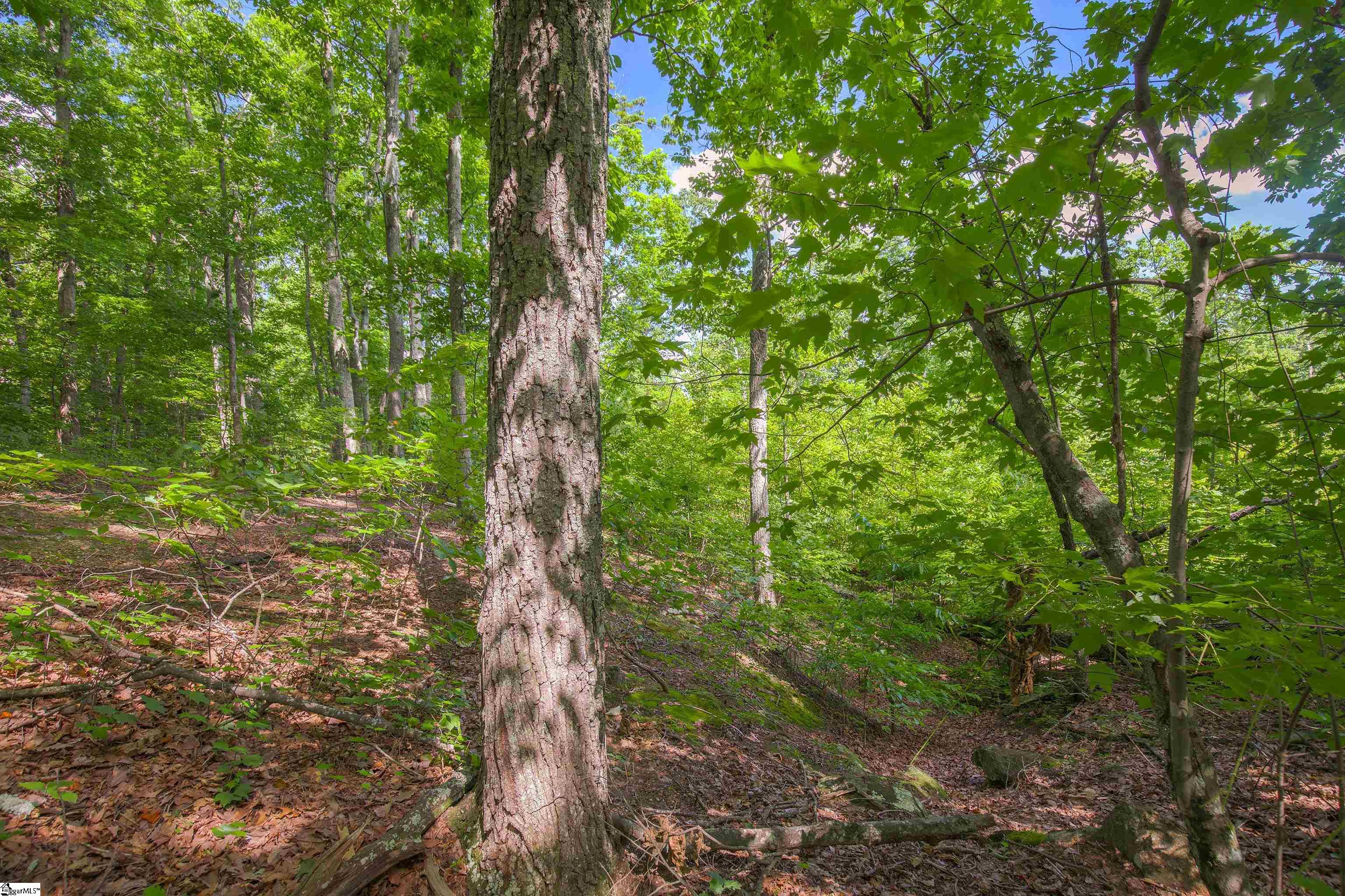 4 Napoli Court Property Photo 21