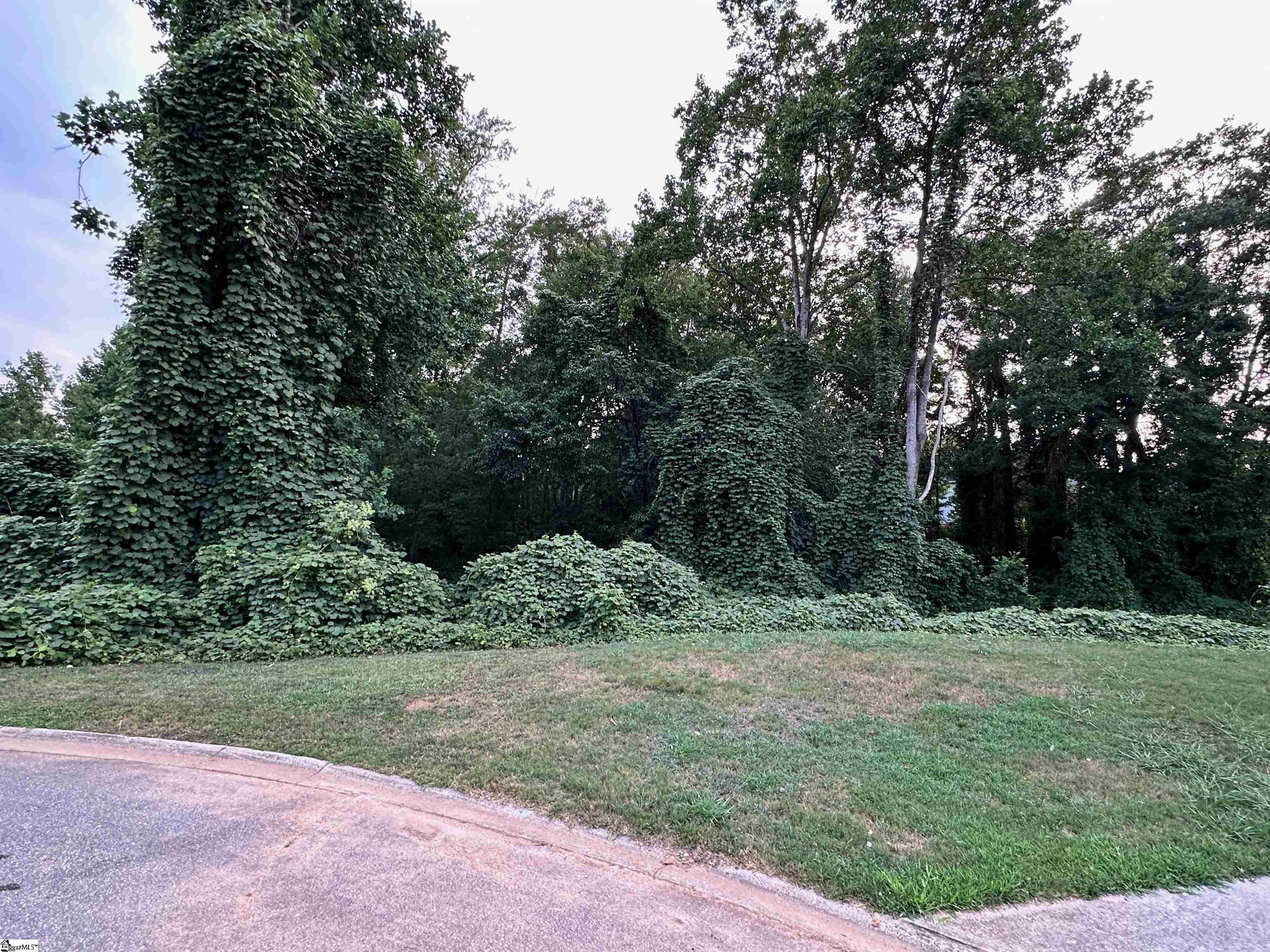 243 Summerlea Lane Property Photo 2