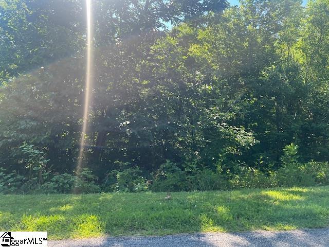115 Cherokee Rose Trail Property Photo 2