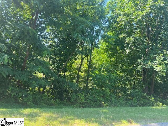 115 Cherokee Rose Trail Property Photo 3