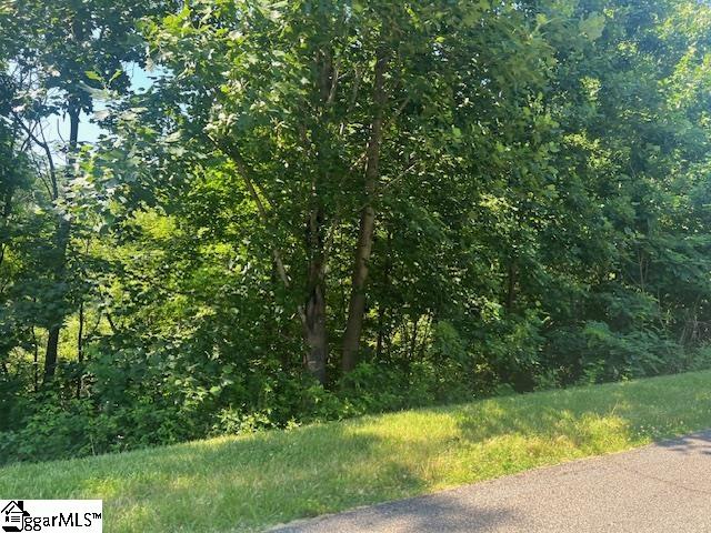 115 Cherokee Rose Trail Property Photo 4