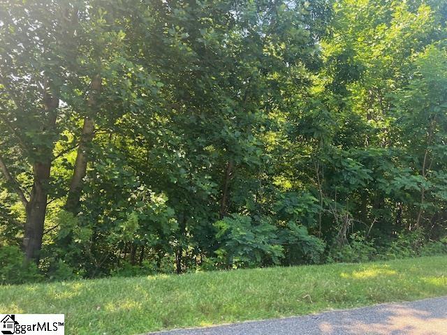115 Cherokee Rose Trail Property Photo 5