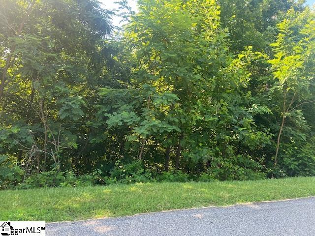 115 Cherokee Rose Trail Property Photo 6