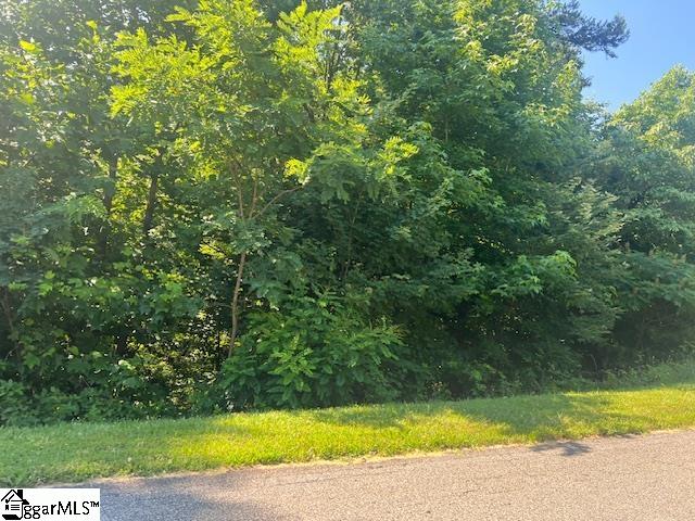 115 Cherokee Rose Trail Property Photo 7