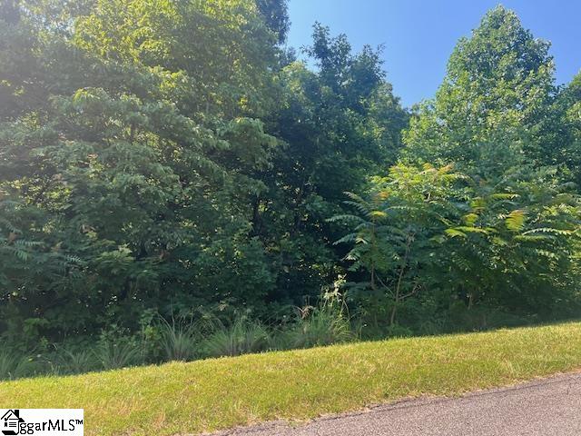 115 Cherokee Rose Trail Property Photo 8