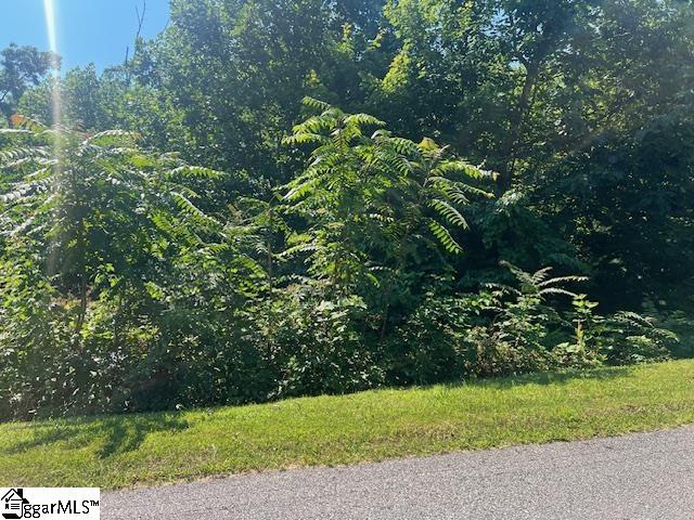 115 Cherokee Rose Trail Property Photo 9