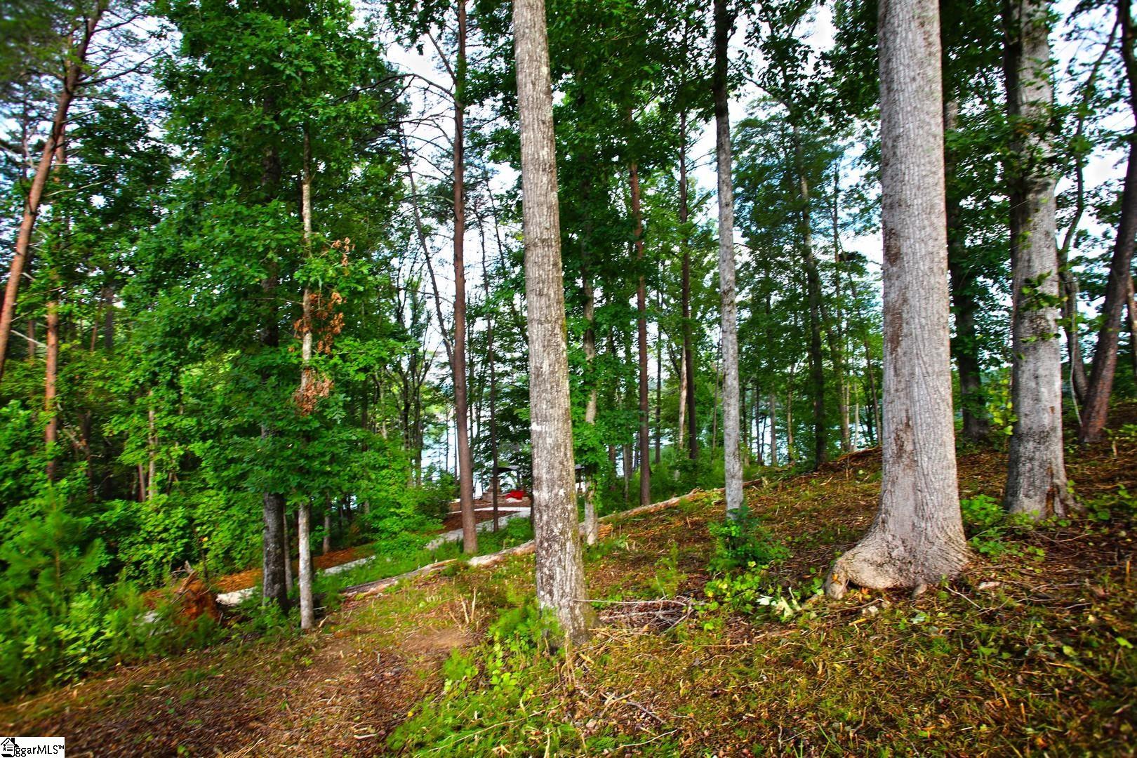 223 Squirrel Point Property Photo 12