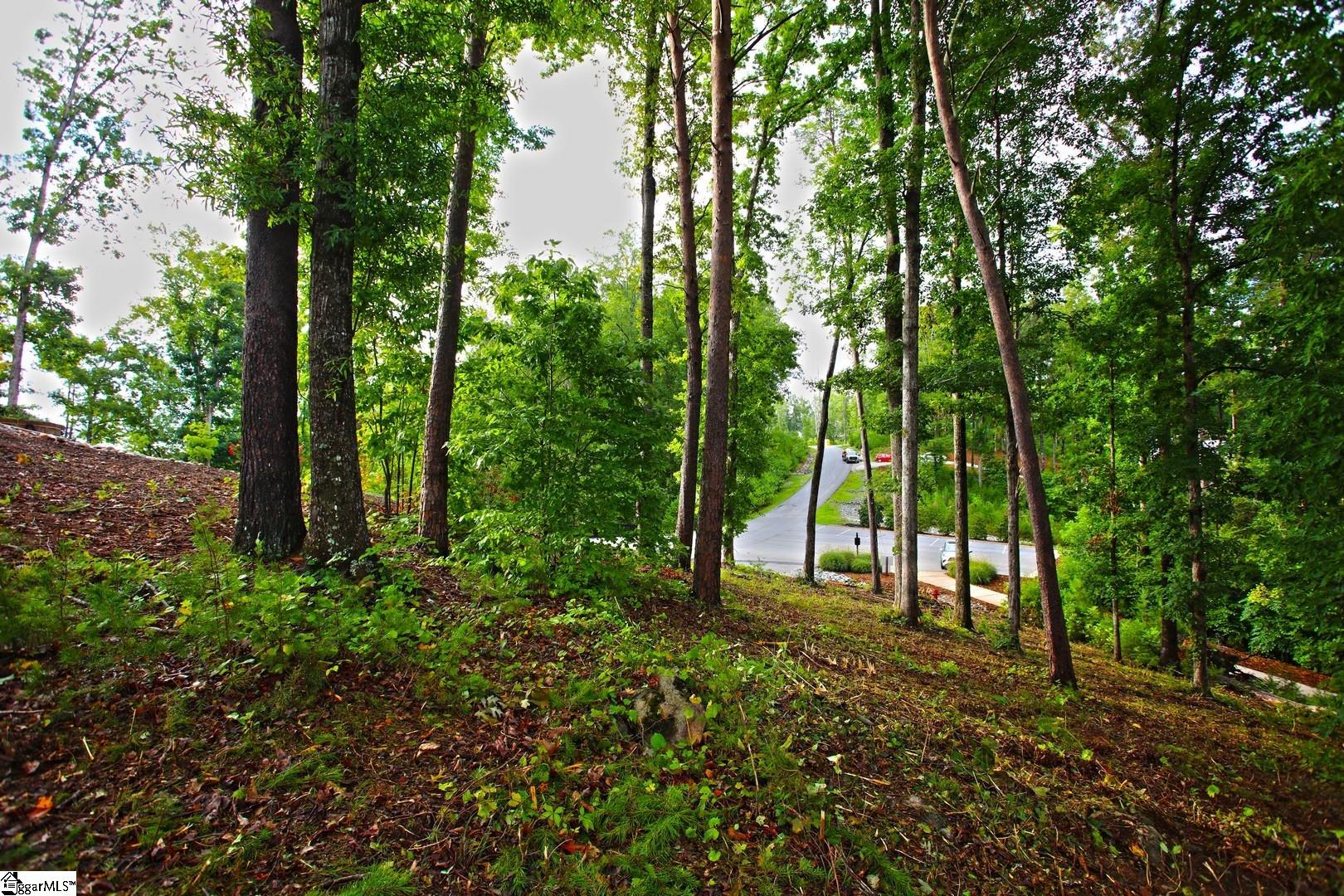 223 Squirrel Point Property Photo 13