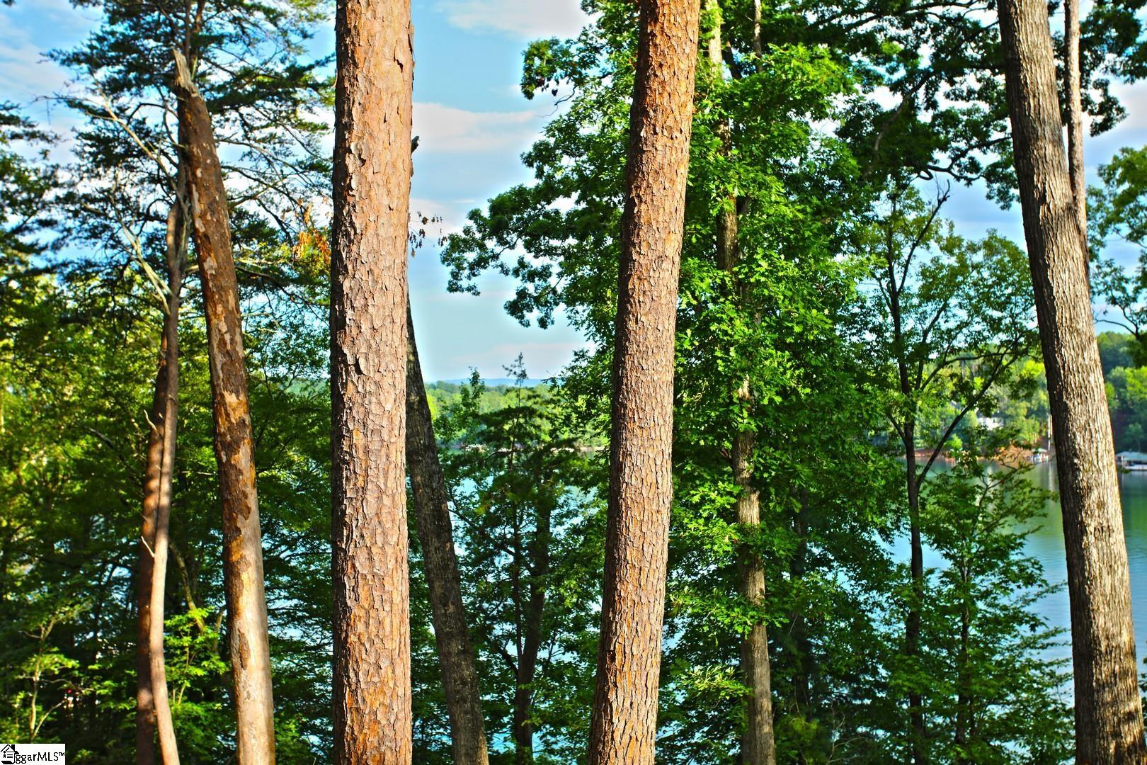 223 Squirrel Point Property Photo 14