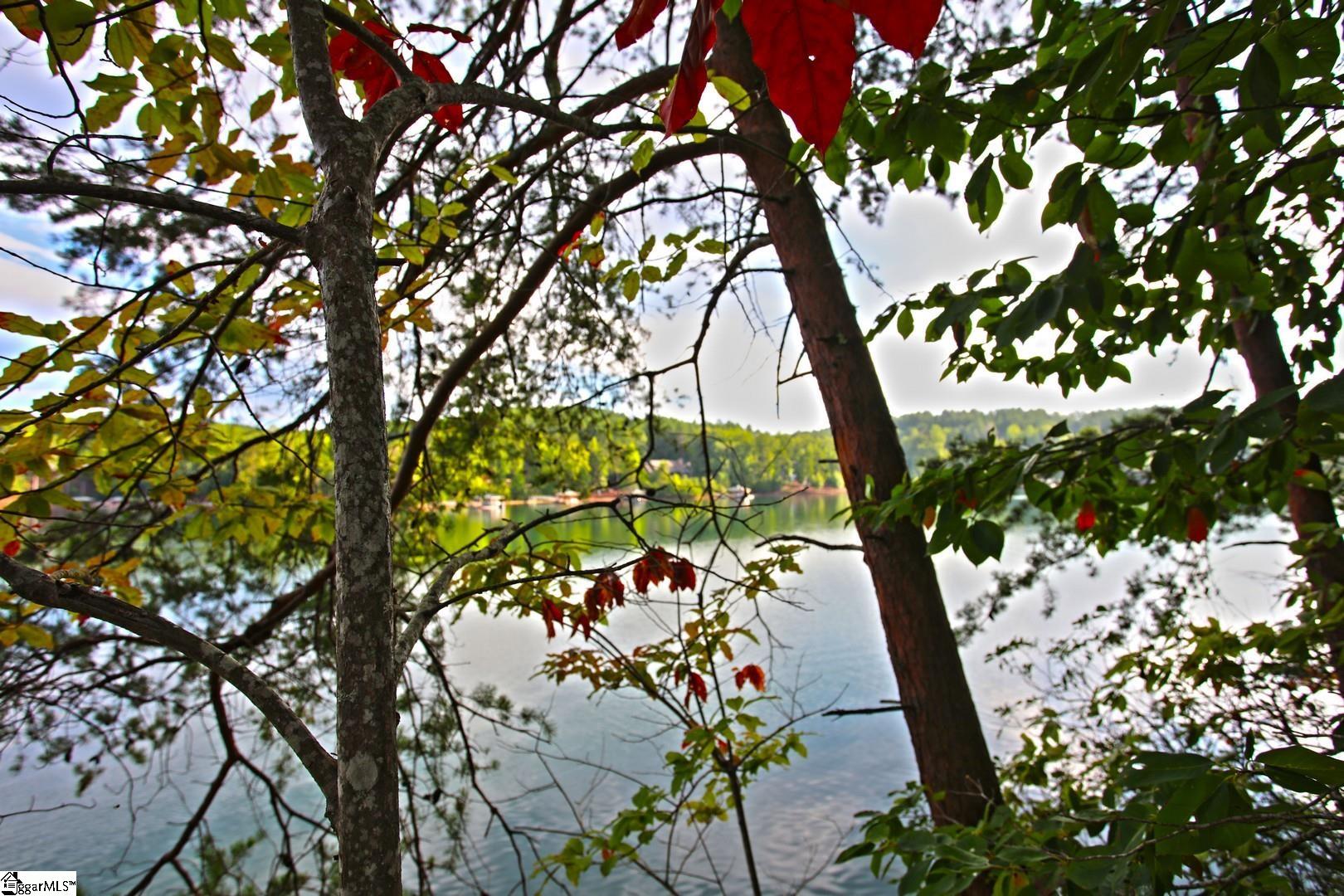 223 Squirrel Point Property Photo 17