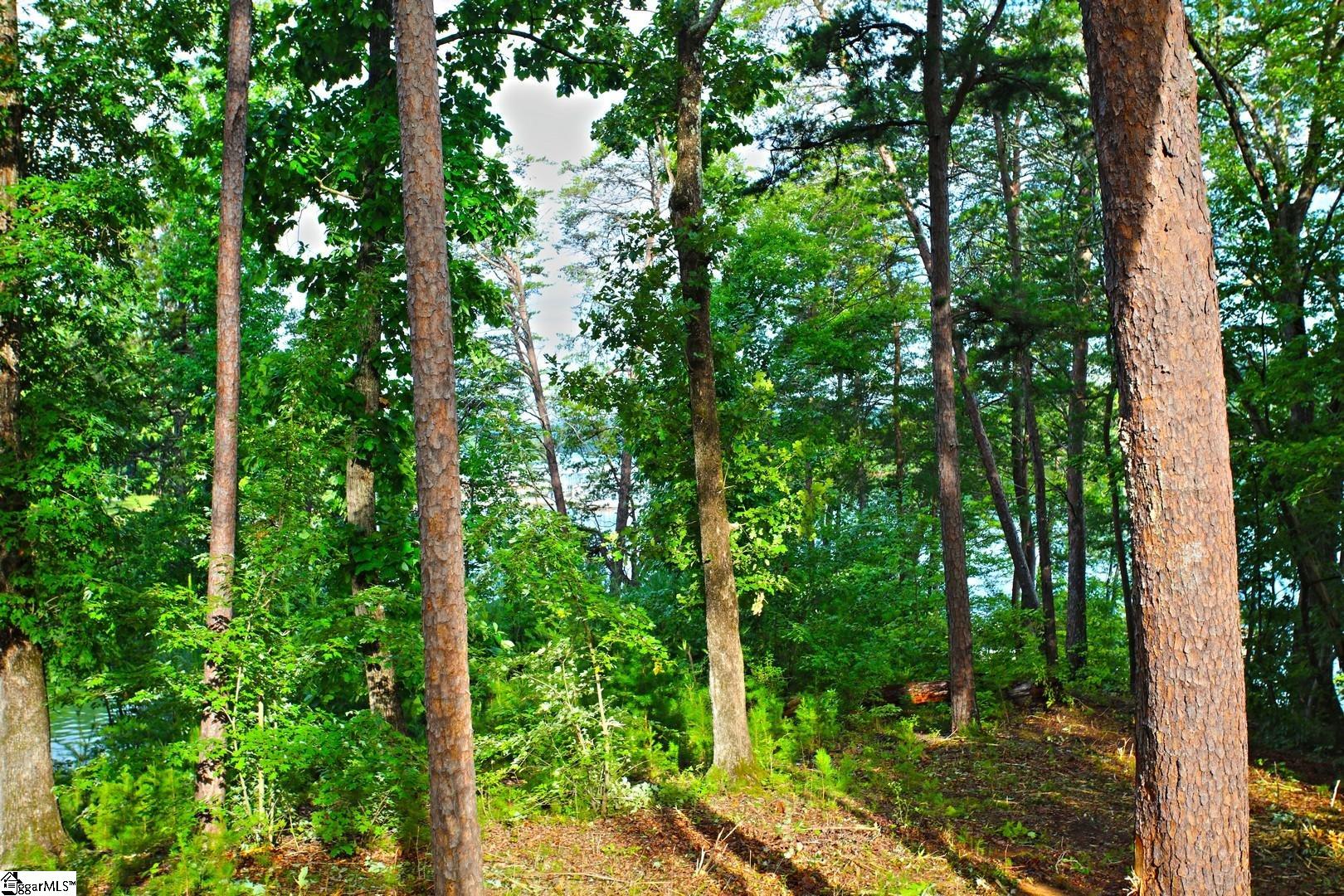 223 Squirrel Point Property Photo 22