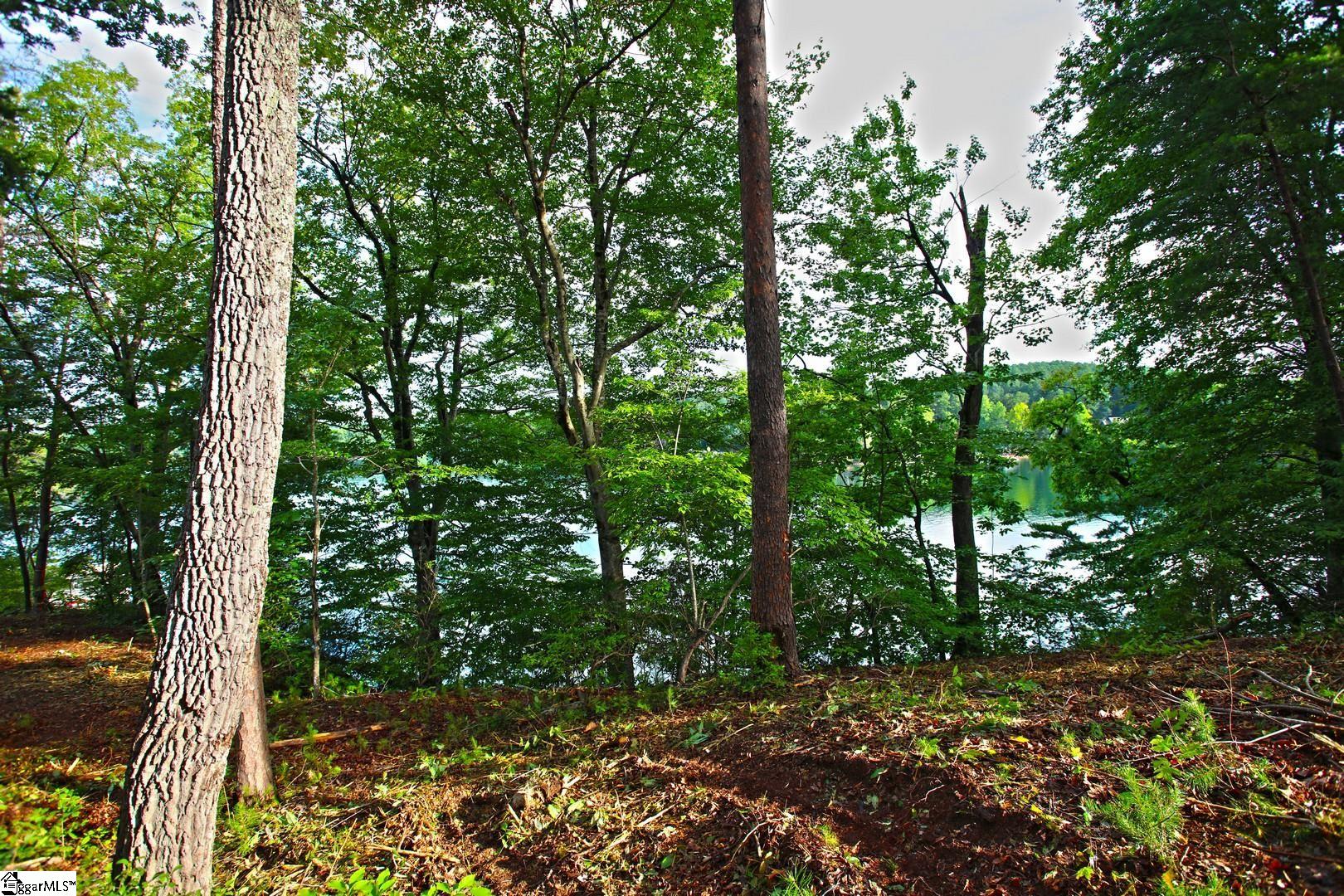 223 Squirrel Point Property Photo 24