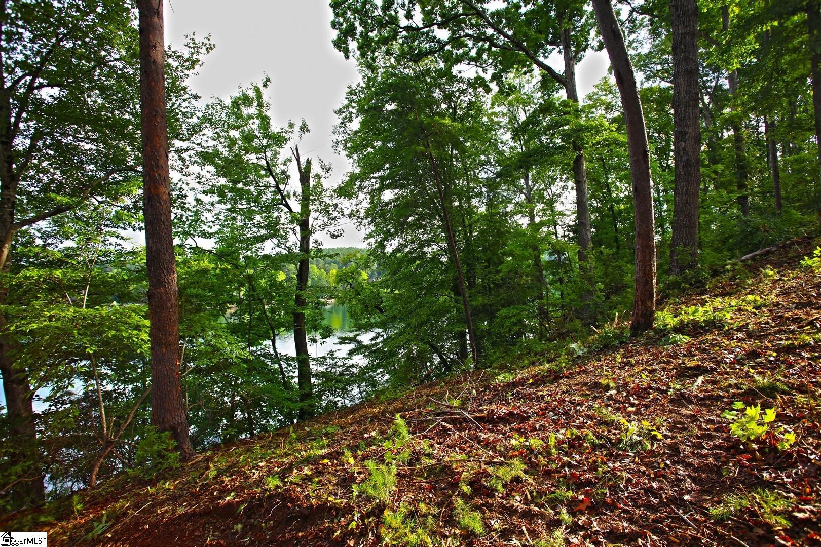 223 Squirrel Point Property Photo 25