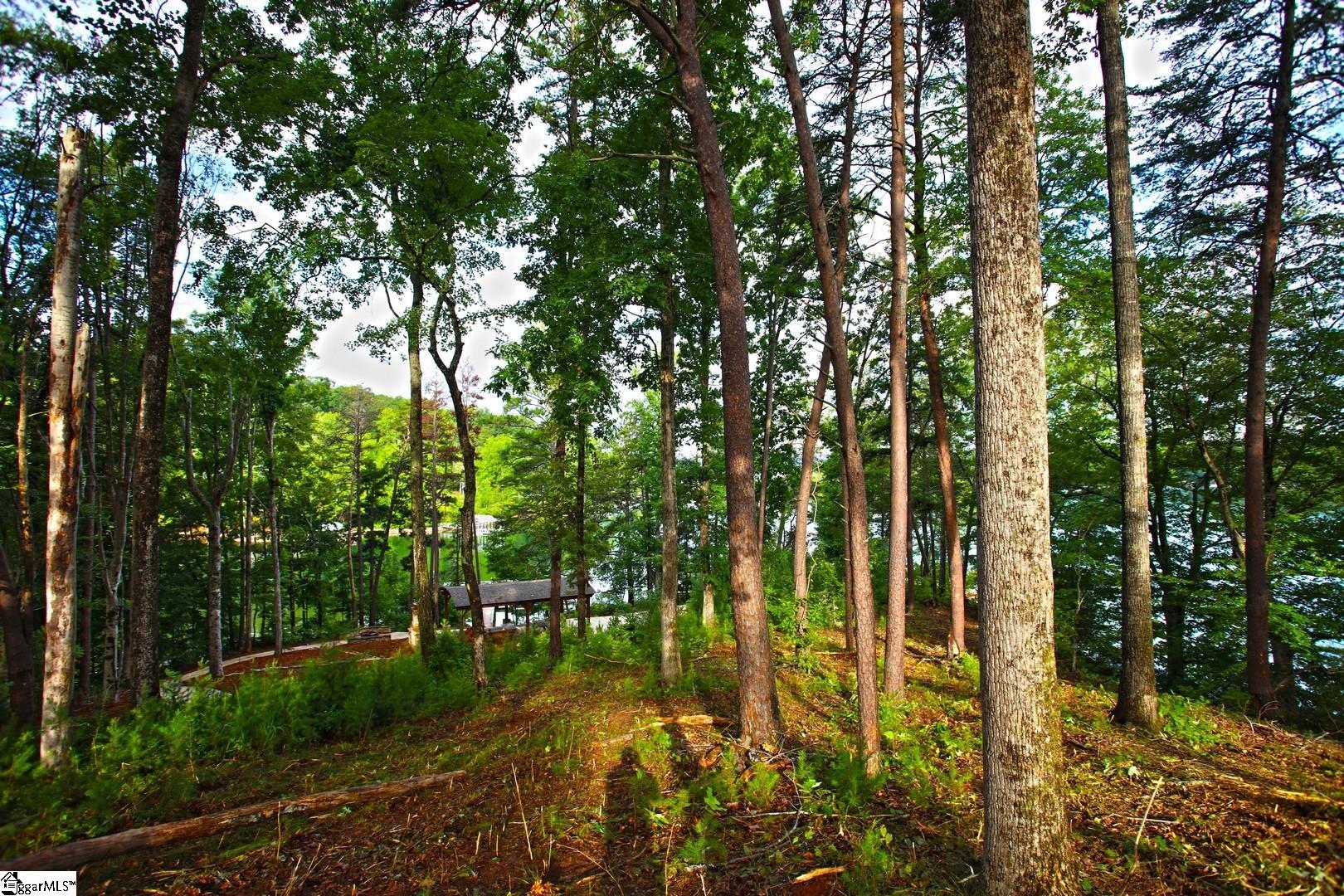 223 Squirrel Point Property Photo 26