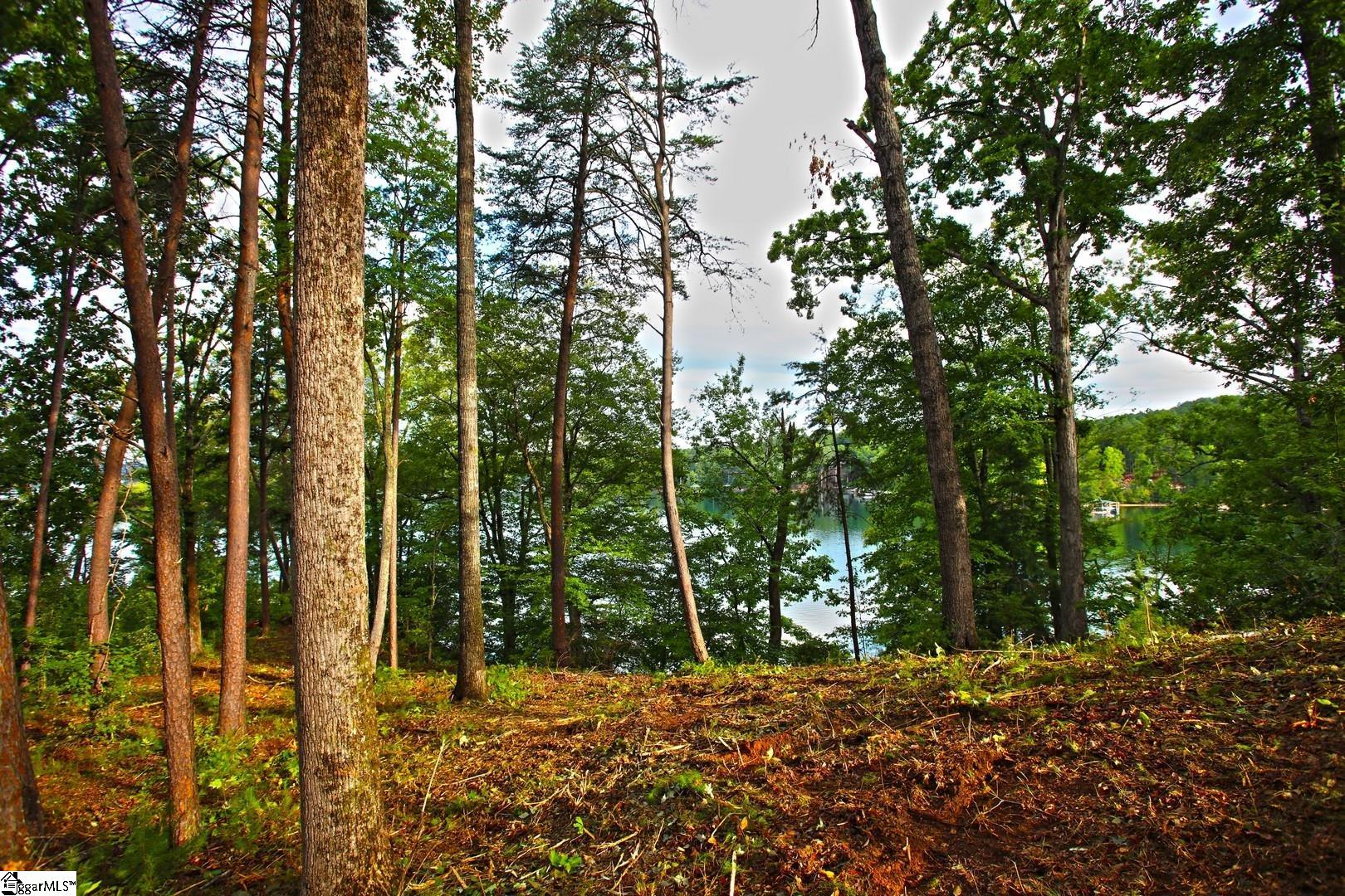 223 Squirrel Point Property Photo 29