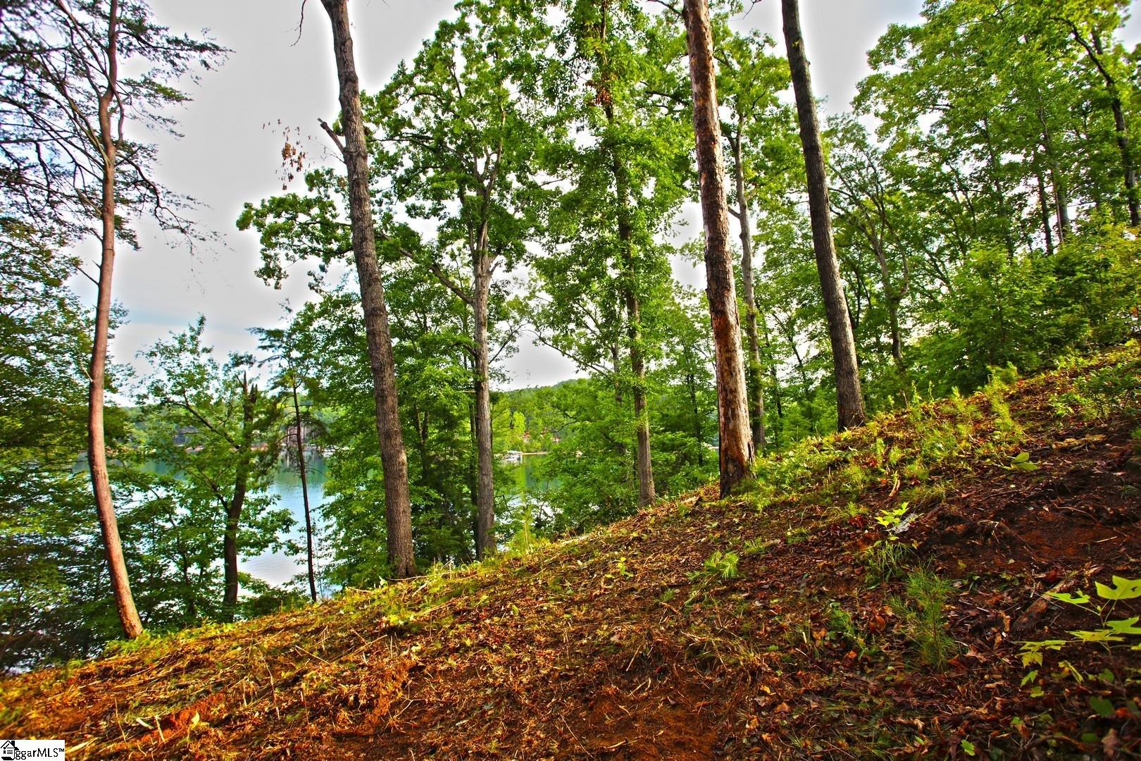 223 Squirrel Point Property Photo 30